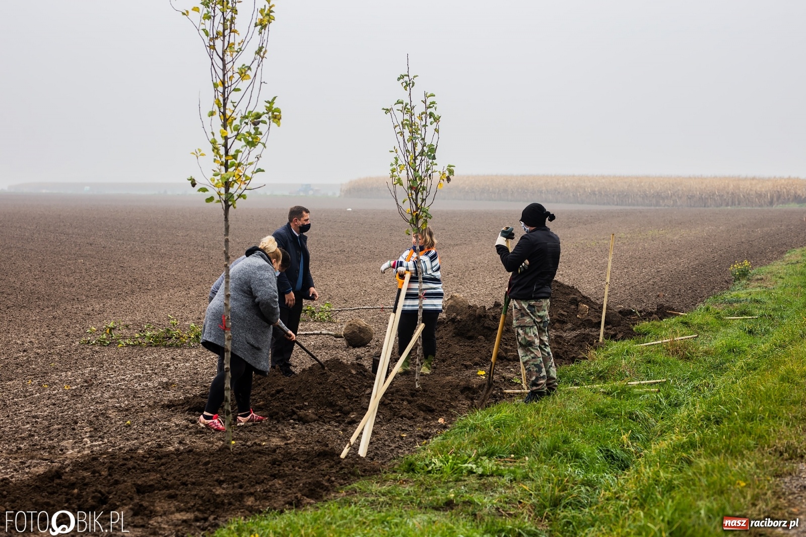 Zdjęcie w galerii na portalu naszraciborz.pl: Powiat i Auchan sadzą drzewka  wiadomości z regionu