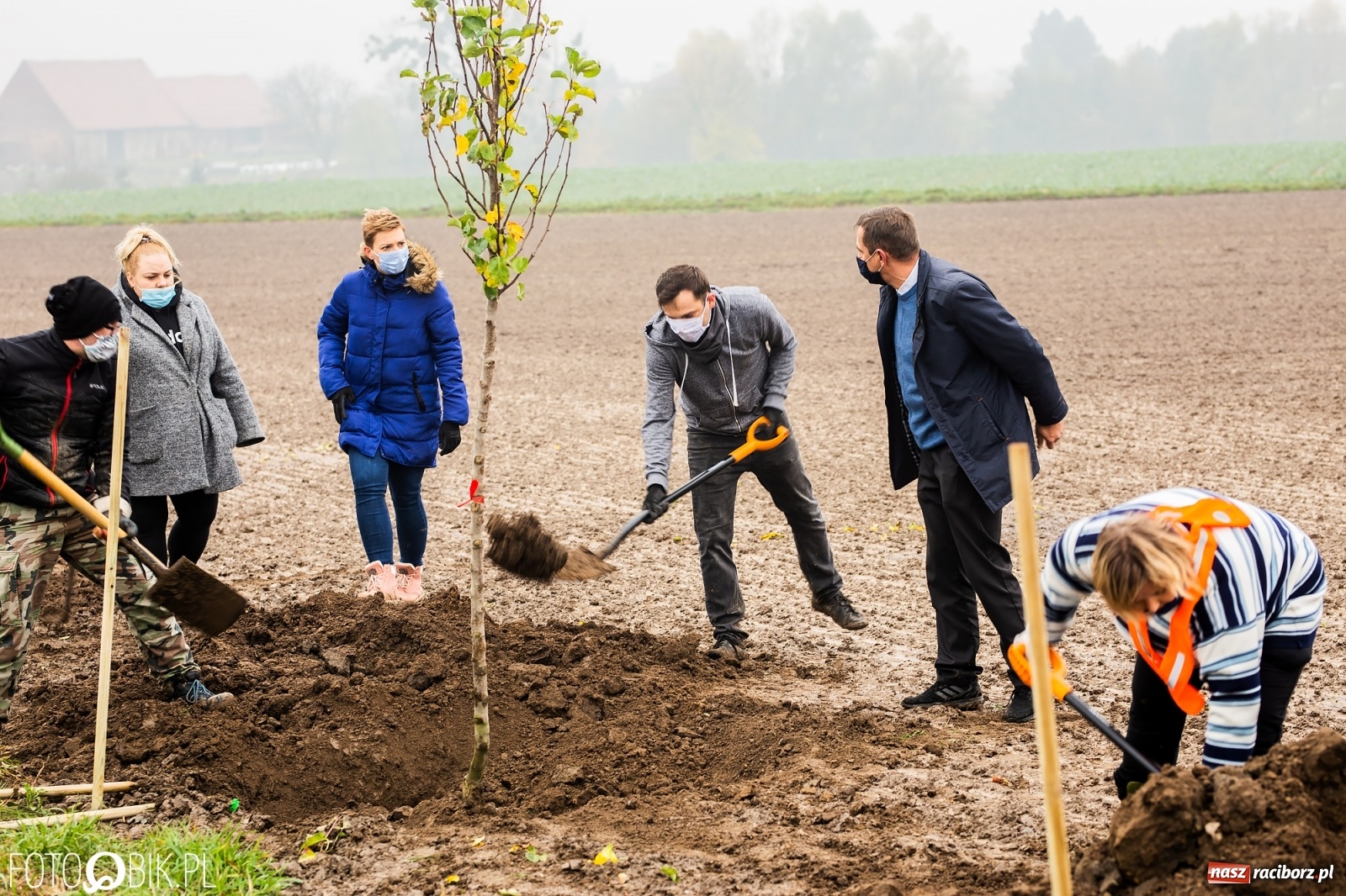 Zdjęcie w galerii na portalu naszraciborz.pl: Powiat i Auchan sadzą drzewka  wiadomości z regionu