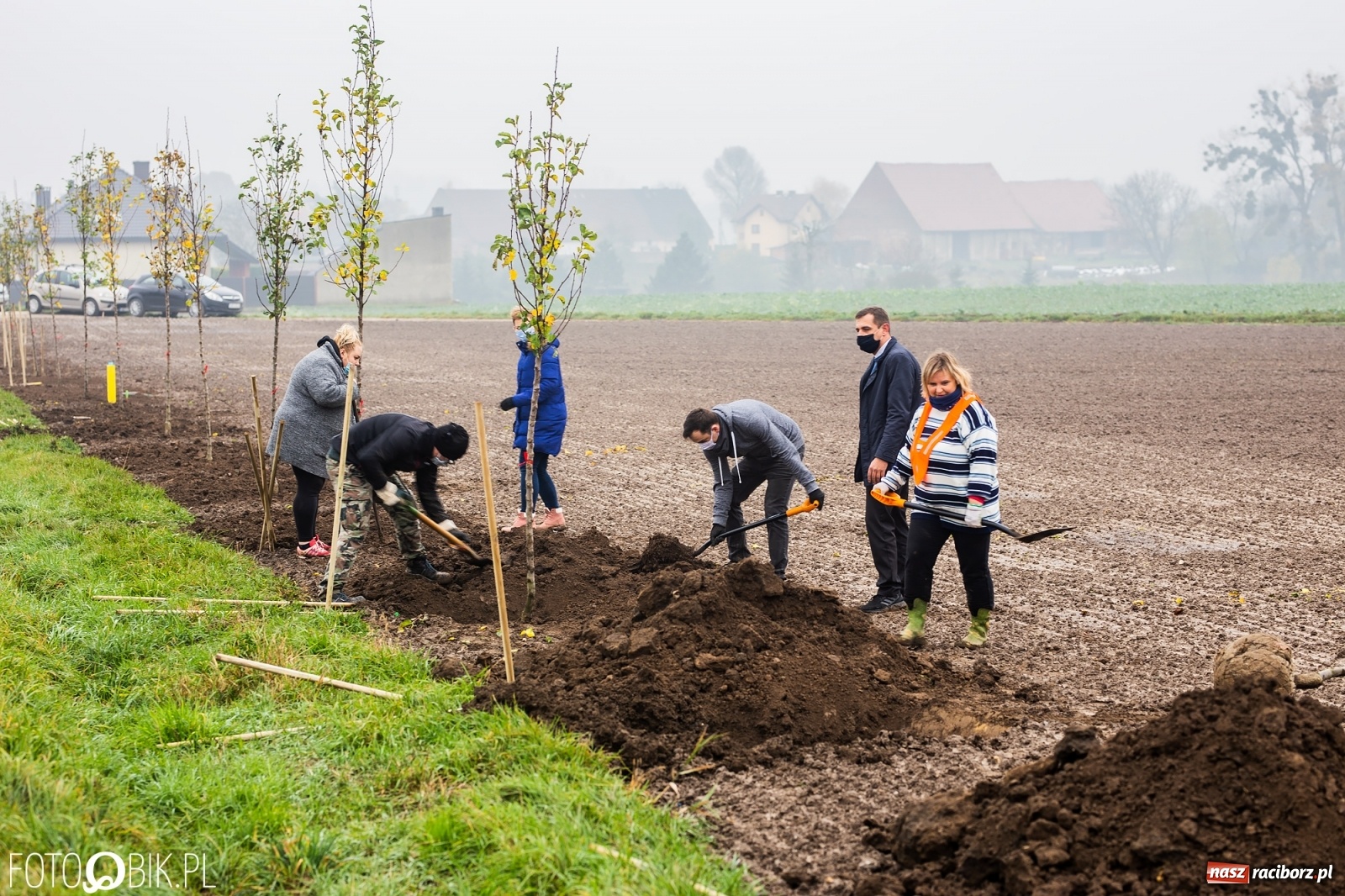 Zdjęcie w galerii na portalu naszraciborz.pl: Powiat i Auchan sadzą drzewka  wiadomości z regionu