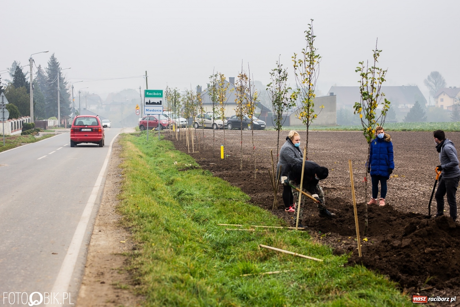 Zdjęcie w galerii na portalu naszraciborz.pl: Powiat i Auchan sadzą drzewka  wiadomości z regionu
