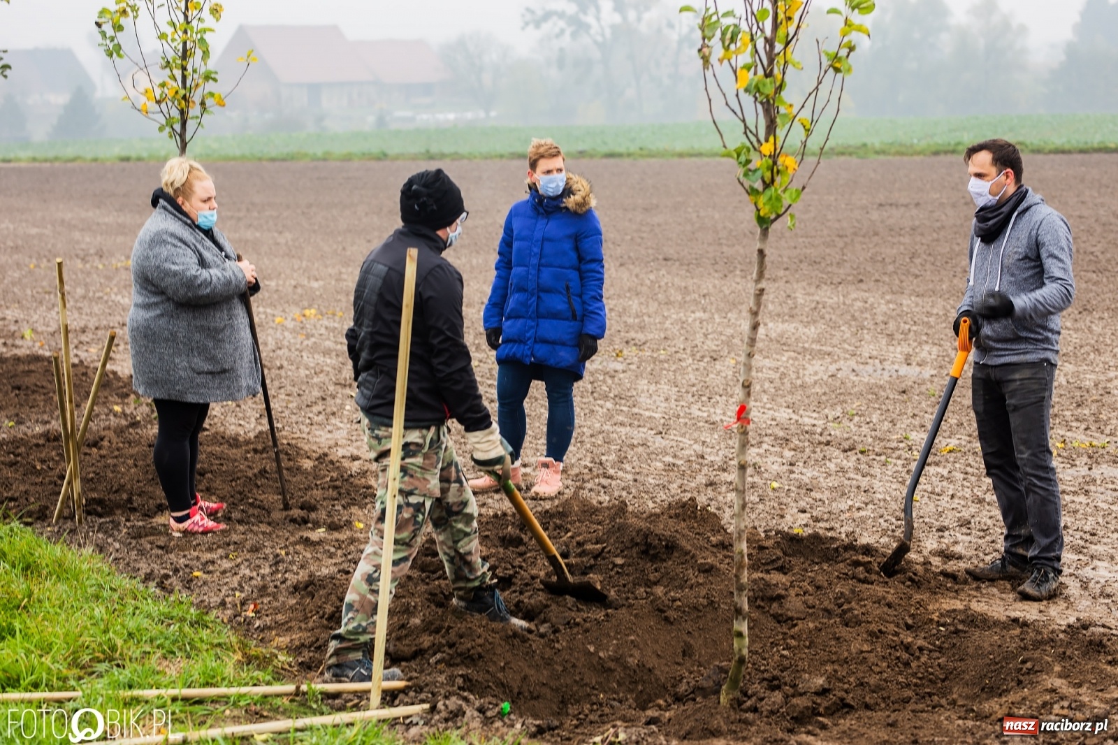 Zdjęcie w galerii na portalu naszraciborz.pl: Powiat i Auchan sadzą drzewka  wiadomości z regionu