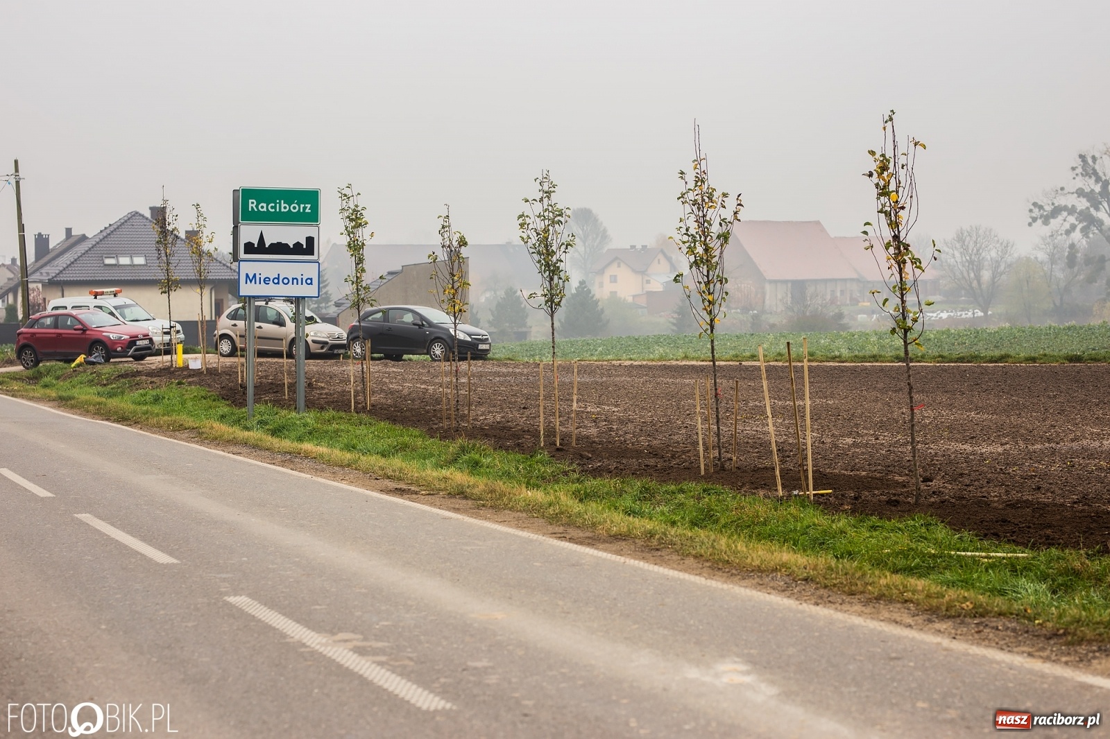 Zdjęcie w galerii na portalu naszraciborz.pl: Powiat i Auchan sadzą drzewka  wiadomości z regionu