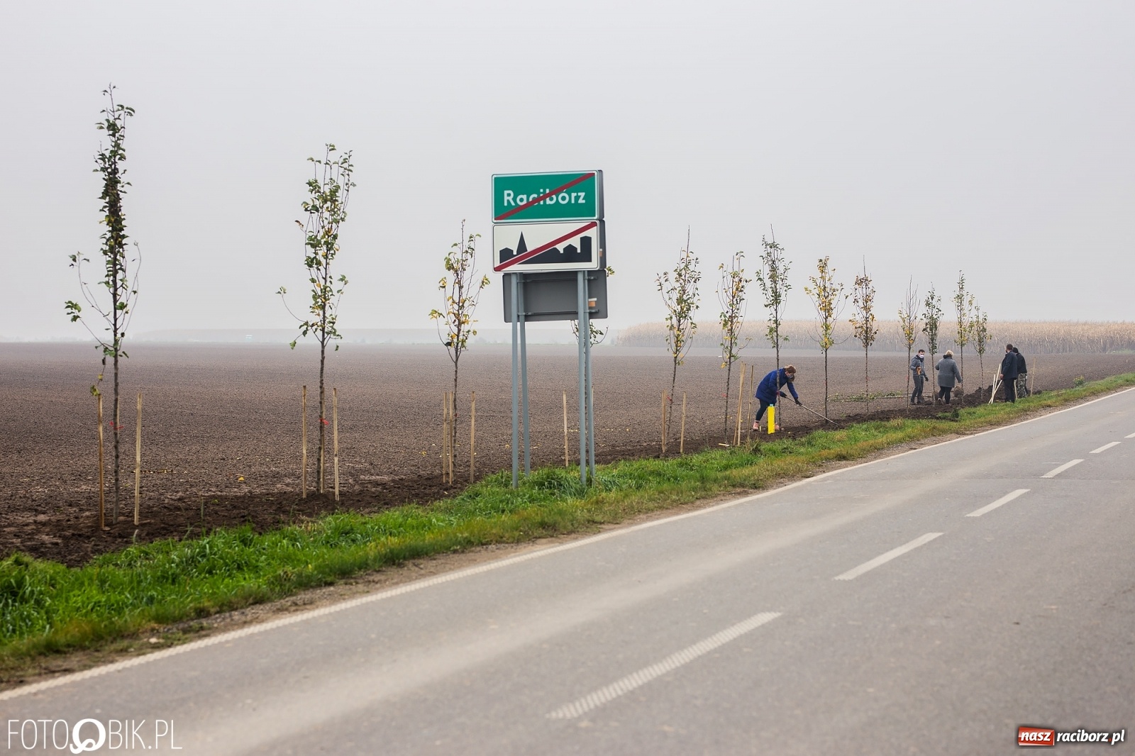 Zdjęcie w galerii na portalu naszraciborz.pl: Powiat i Auchan sadzą drzewka  wiadomości z regionu