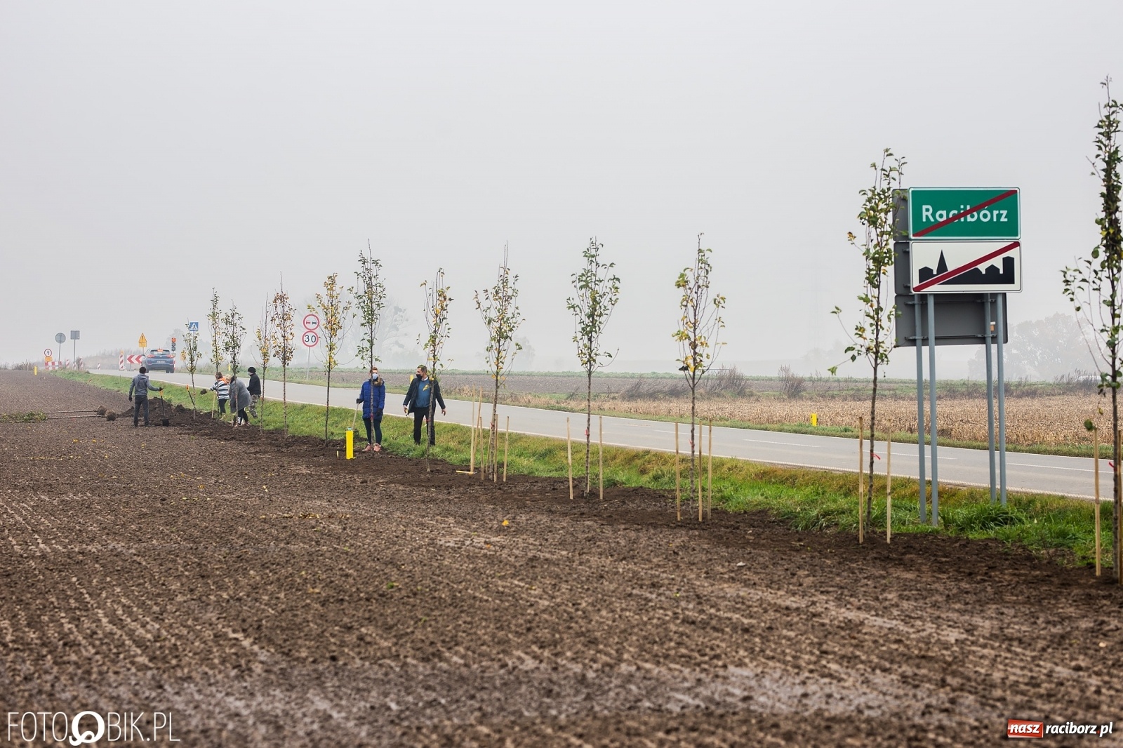 Zdjęcie w galerii na portalu naszraciborz.pl: Powiat i Auchan sadzą drzewka  wiadomości z regionu