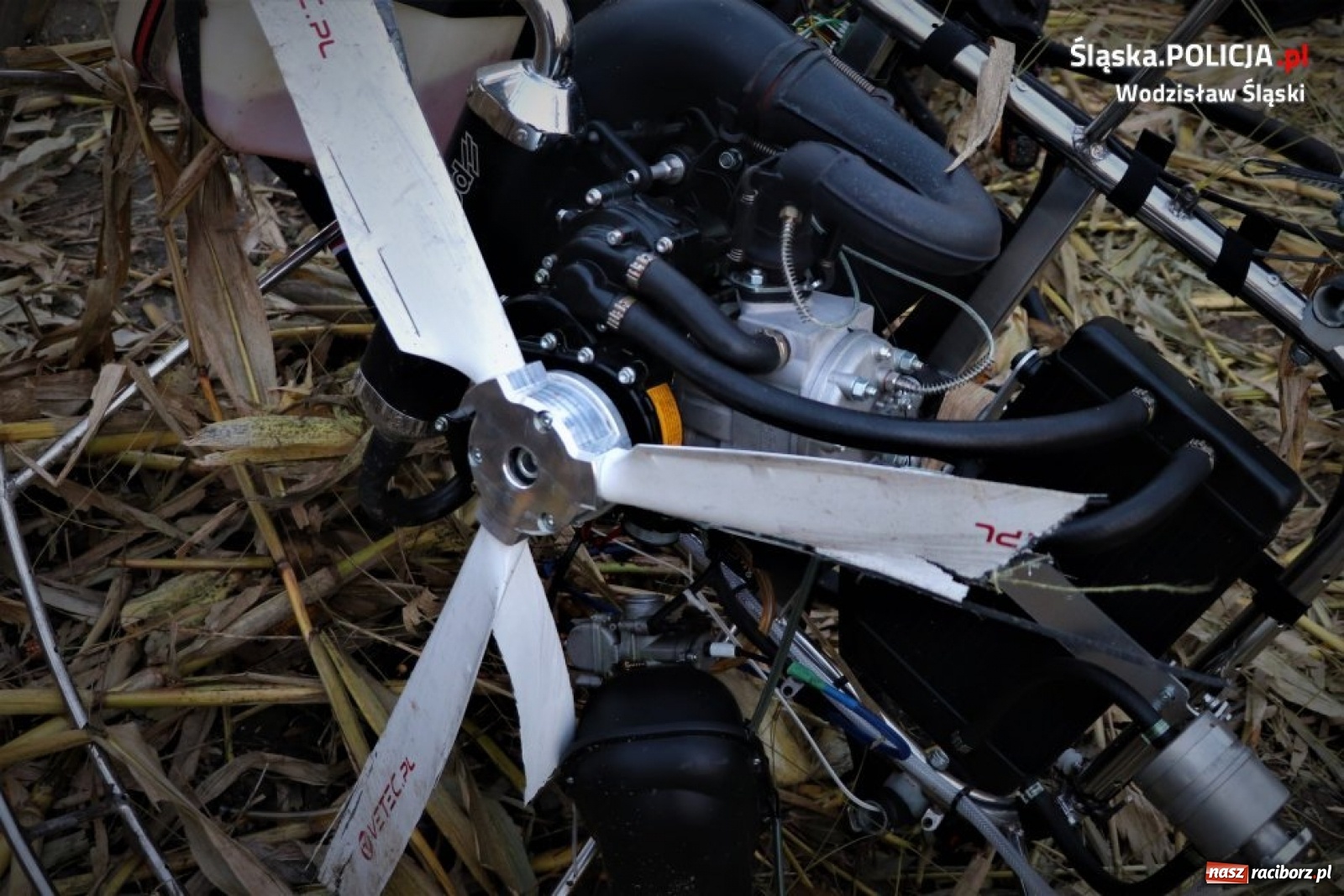 Zdjęcie w galerii na portalu naszraciborz.pl: Pijany paralotniarz zahaczył o linię energetyczną i runął na ziemię  wiadomości z regionu