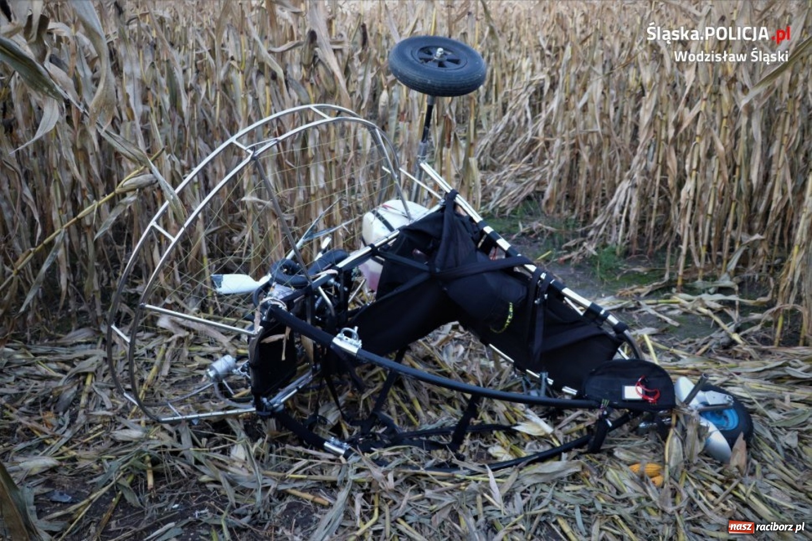 Zdjęcie w galerii na portalu naszraciborz.pl: Pijany paralotniarz zahaczył o linię energetyczną i runął na ziemię  wiadomości z regionu