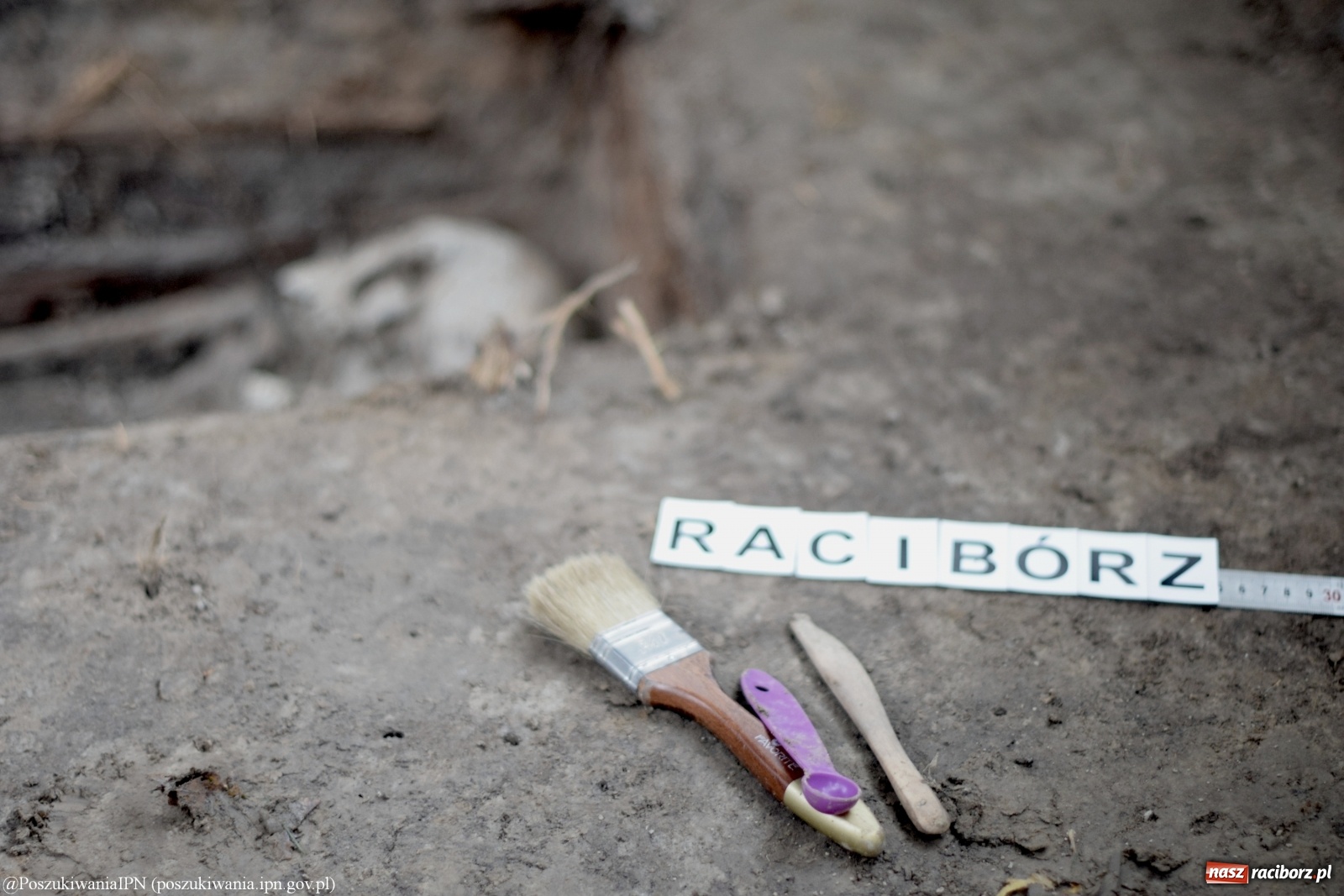 Zdjęcie w galerii na portalu naszraciborz.pl: TVP o ekshumacjach IPN w Raciborzu  wiadomości z regionu