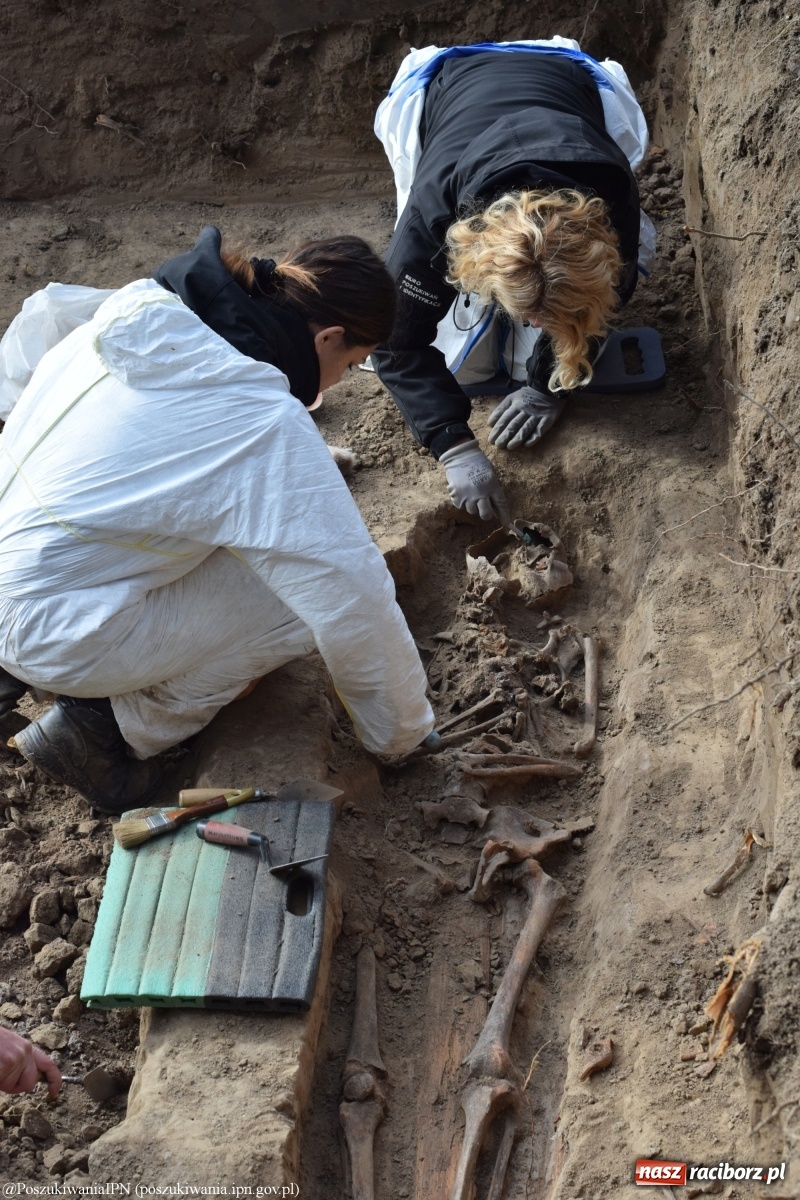 Zdjęcie w galerii na portalu naszraciborz.pl: TVP o ekshumacjach IPN w Raciborzu  wiadomości z regionu