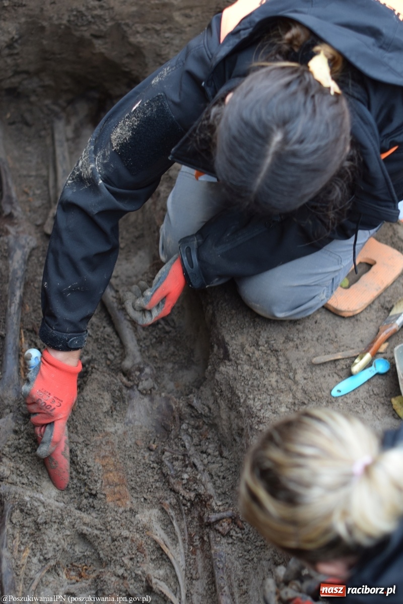 Zdjęcie w galerii na portalu naszraciborz.pl: TVP o ekshumacjach IPN w Raciborzu  wiadomości z regionu
