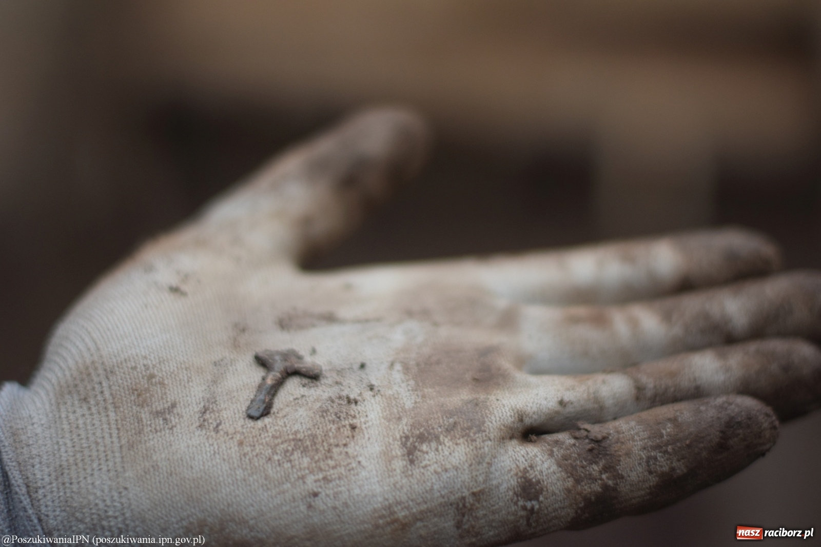 Zdjęcie w galerii na portalu naszraciborz.pl: TVP o ekshumacjach IPN w Raciborzu  wiadomości z regionu