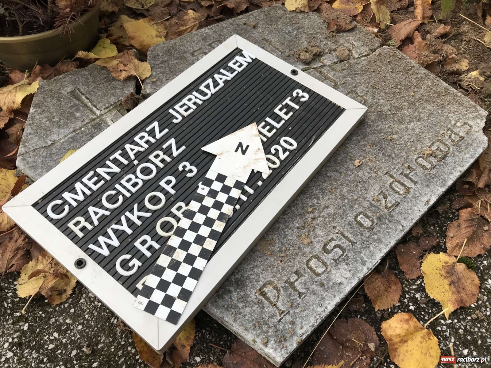 Zdjęcie w galerii na portalu naszraciborz.pl: TVP o ekshumacjach IPN w Raciborzu  wiadomości z regionu