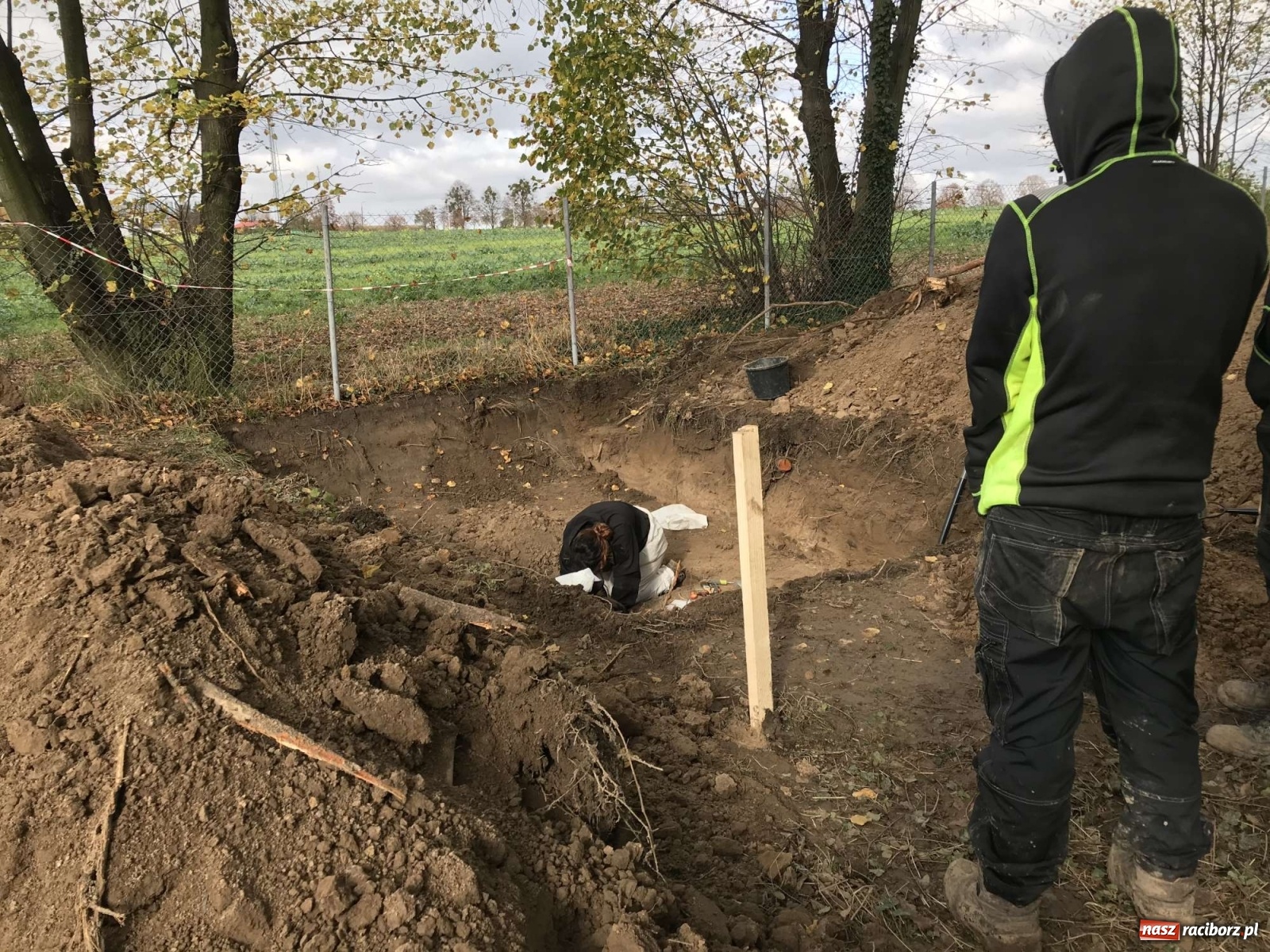 Zdjęcie w galerii na portalu naszraciborz.pl: TVP o ekshumacjach IPN w Raciborzu  wiadomości z regionu