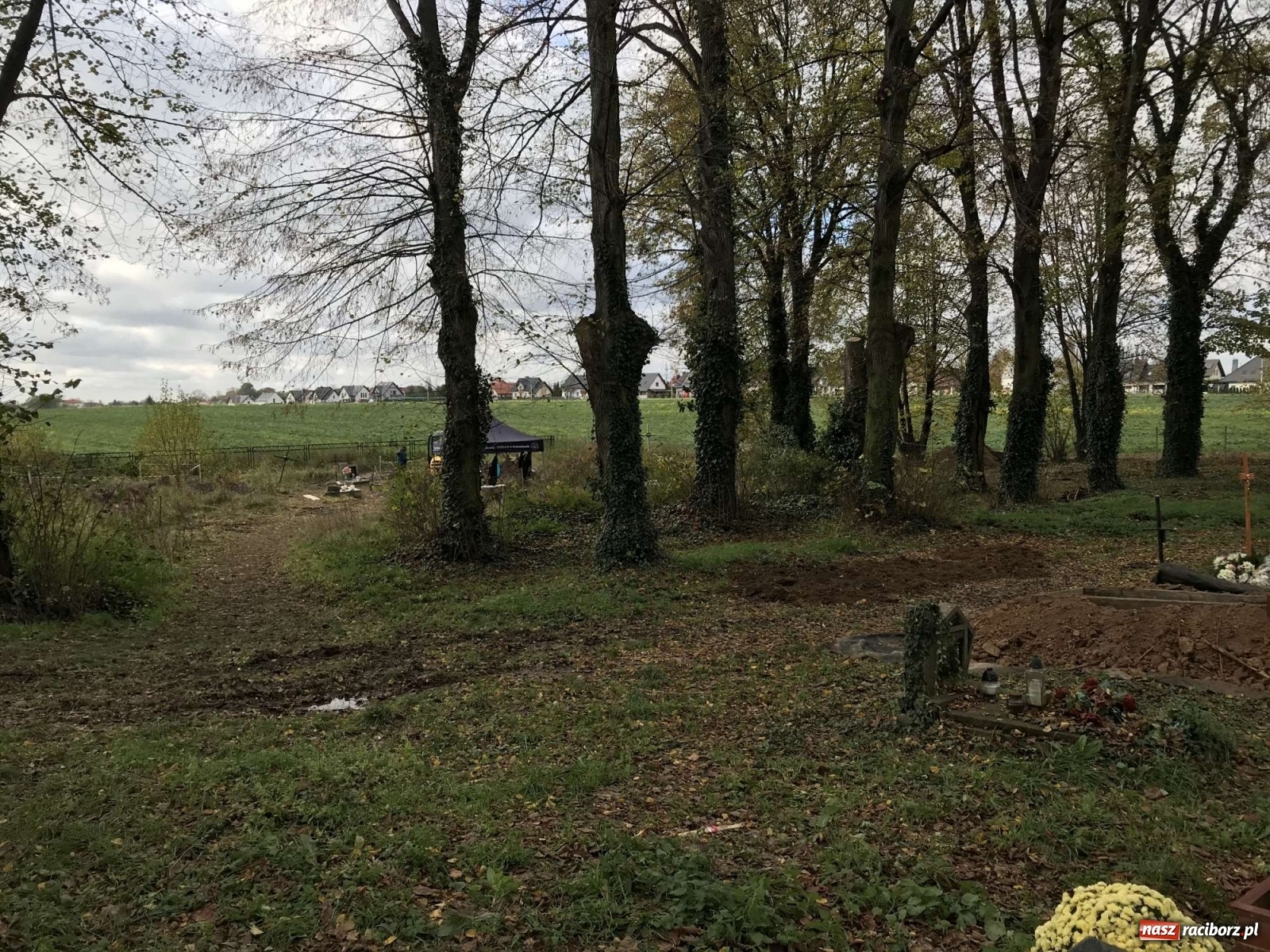 Zdjęcie w galerii na portalu naszraciborz.pl: TVP o ekshumacjach IPN w Raciborzu  wiadomości z regionu