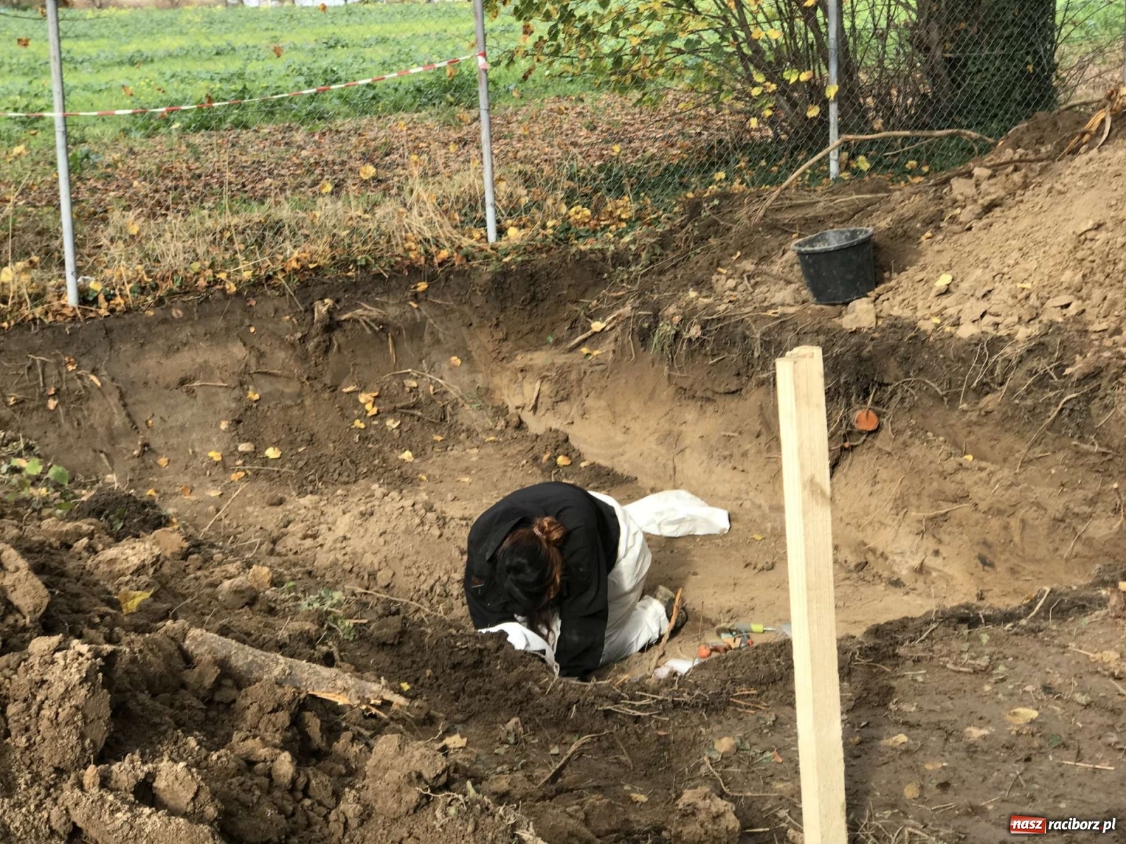 Zdjęcie w galerii na portalu naszraciborz.pl: TVP o ekshumacjach IPN w Raciborzu  wiadomości z regionu