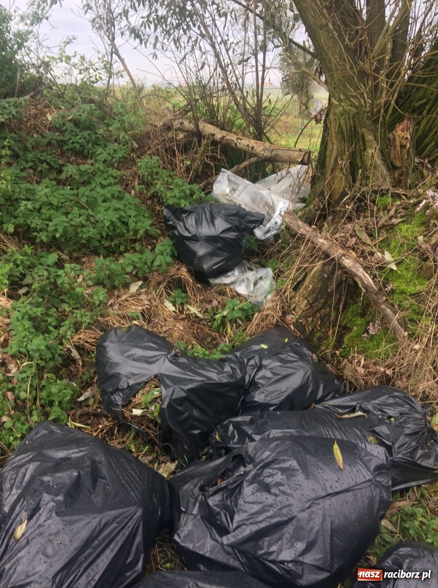 Zdjęcie w galerii na portalu naszraciborz.pl: W Rudniku zakupili fotopułapki  wiadomości z regionu