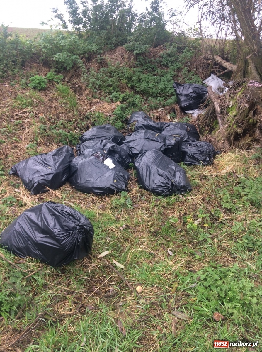 Zdjęcie w galerii na portalu naszraciborz.pl: W Rudniku zakupili fotopułapki  wiadomości z regionu