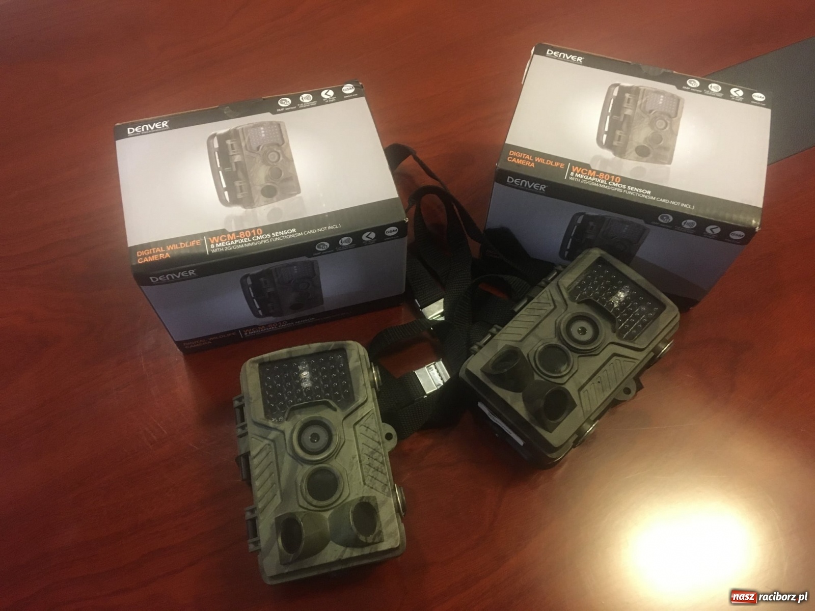 Zdjęcie w galerii na portalu naszraciborz.pl: W Rudniku zakupili fotopułapki  wiadomości z regionu