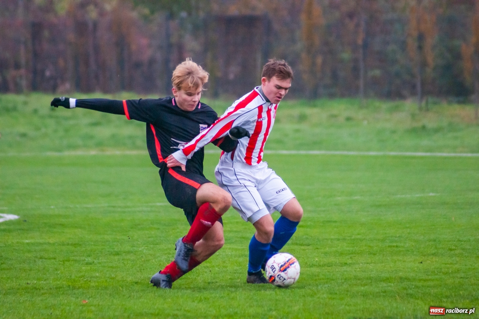 Zdjęcie w galerii na portalu naszraciborz.pl: Juniorzy starsi. Nieudana pogoń Gołkowic [FOTO i WIDEO] wiadomości z regionu