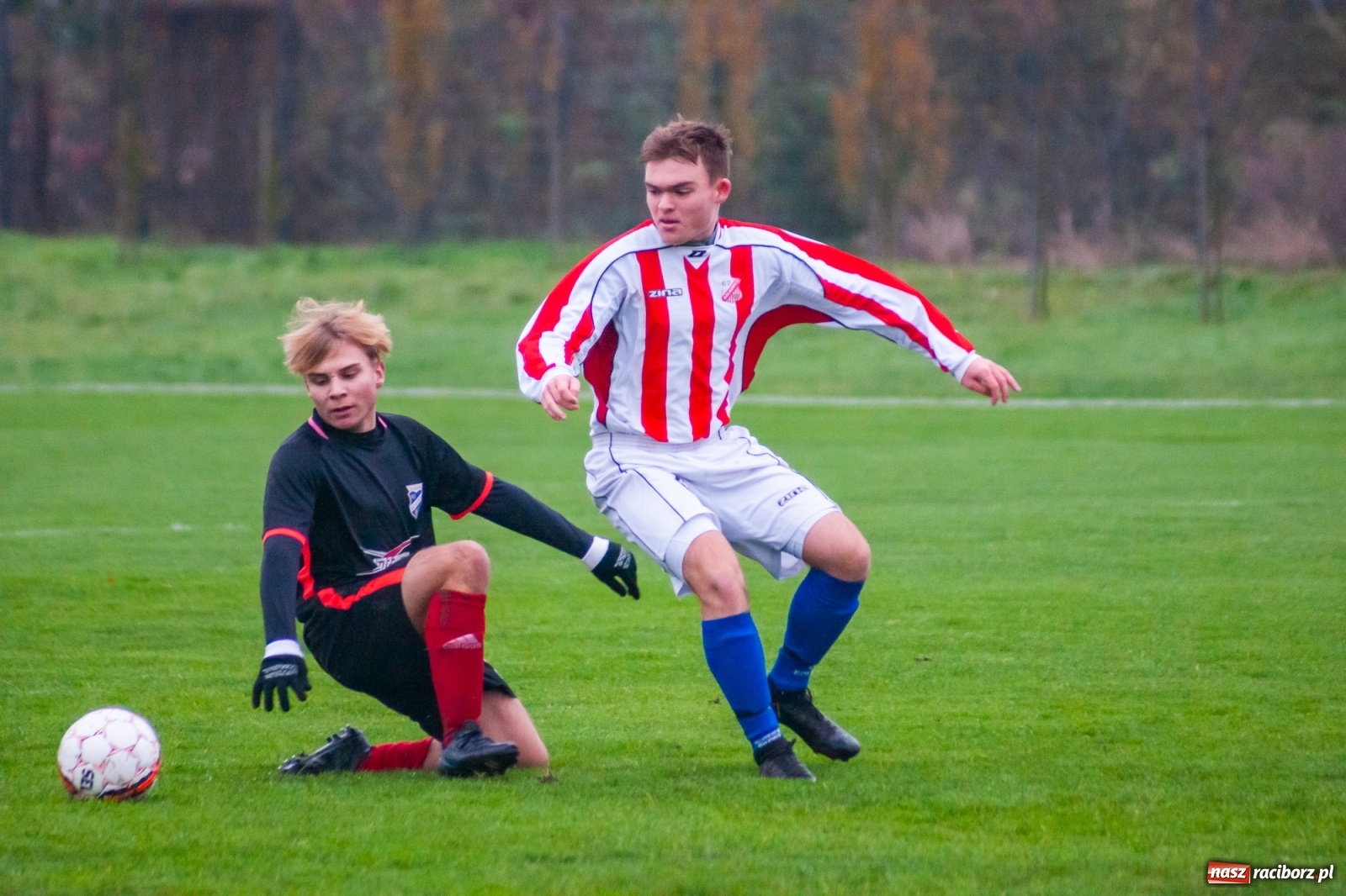 Zdjęcie w galerii na portalu naszraciborz.pl: Juniorzy starsi. Nieudana pogoń Gołkowic [FOTO i WIDEO] wiadomości z regionu