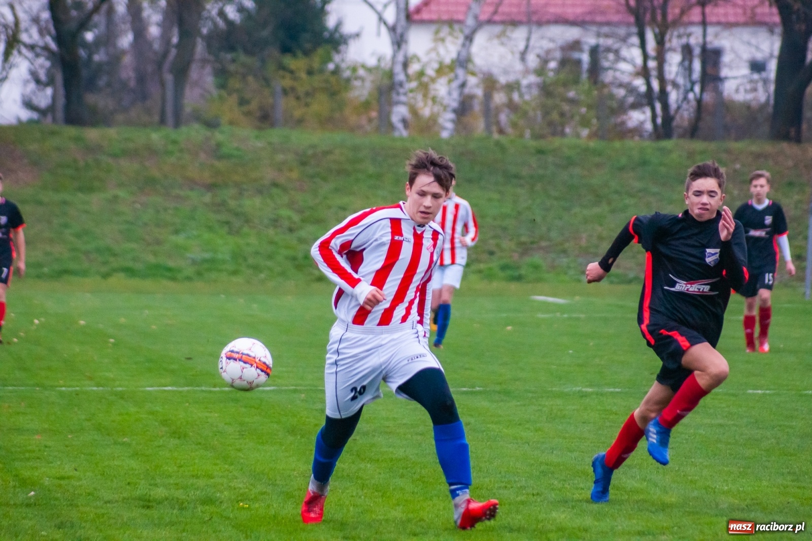 Zdjęcie w galerii na portalu naszraciborz.pl: Juniorzy starsi. Nieudana pogoń Gołkowic [FOTO i WIDEO] wiadomości z regionu