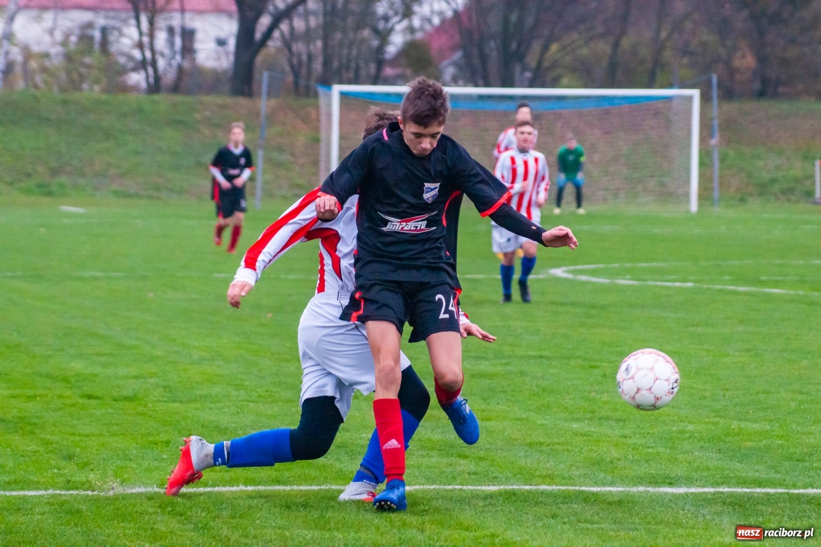 Zdjęcie w galerii na portalu naszraciborz.pl: Juniorzy starsi. Nieudana pogoń Gołkowic [FOTO i WIDEO] wiadomości z regionu