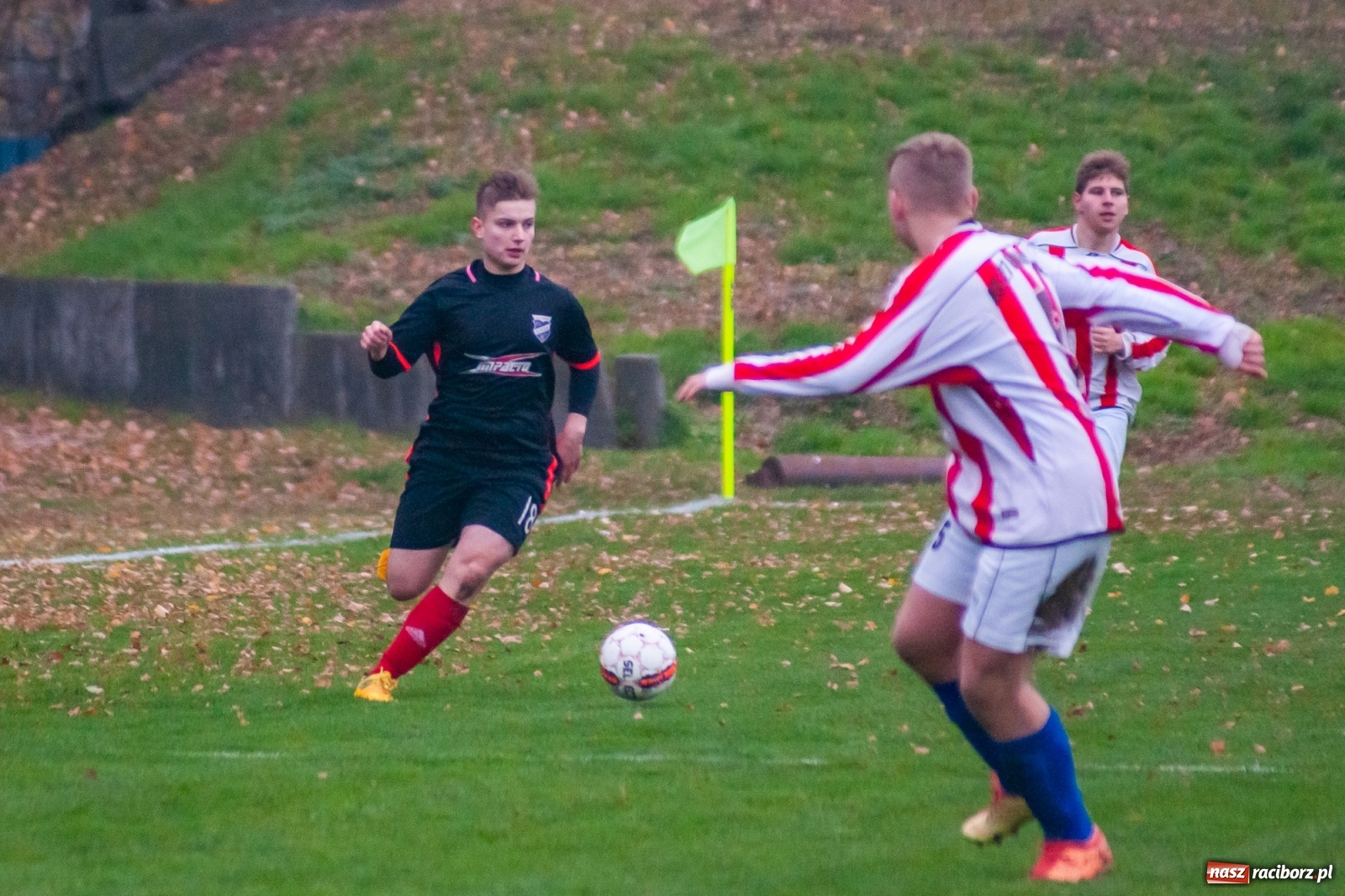 Zdjęcie w galerii na portalu naszraciborz.pl: Juniorzy starsi. Nieudana pogoń Gołkowic [FOTO i WIDEO] wiadomości z regionu