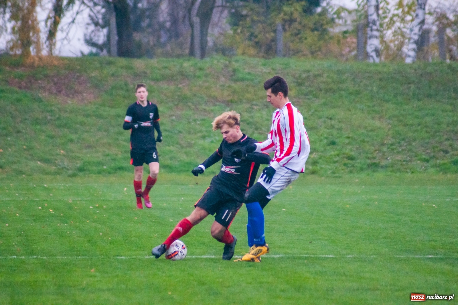 Zdjęcie w galerii na portalu naszraciborz.pl: Juniorzy starsi. Nieudana pogoń Gołkowic [FOTO i WIDEO] wiadomości z regionu