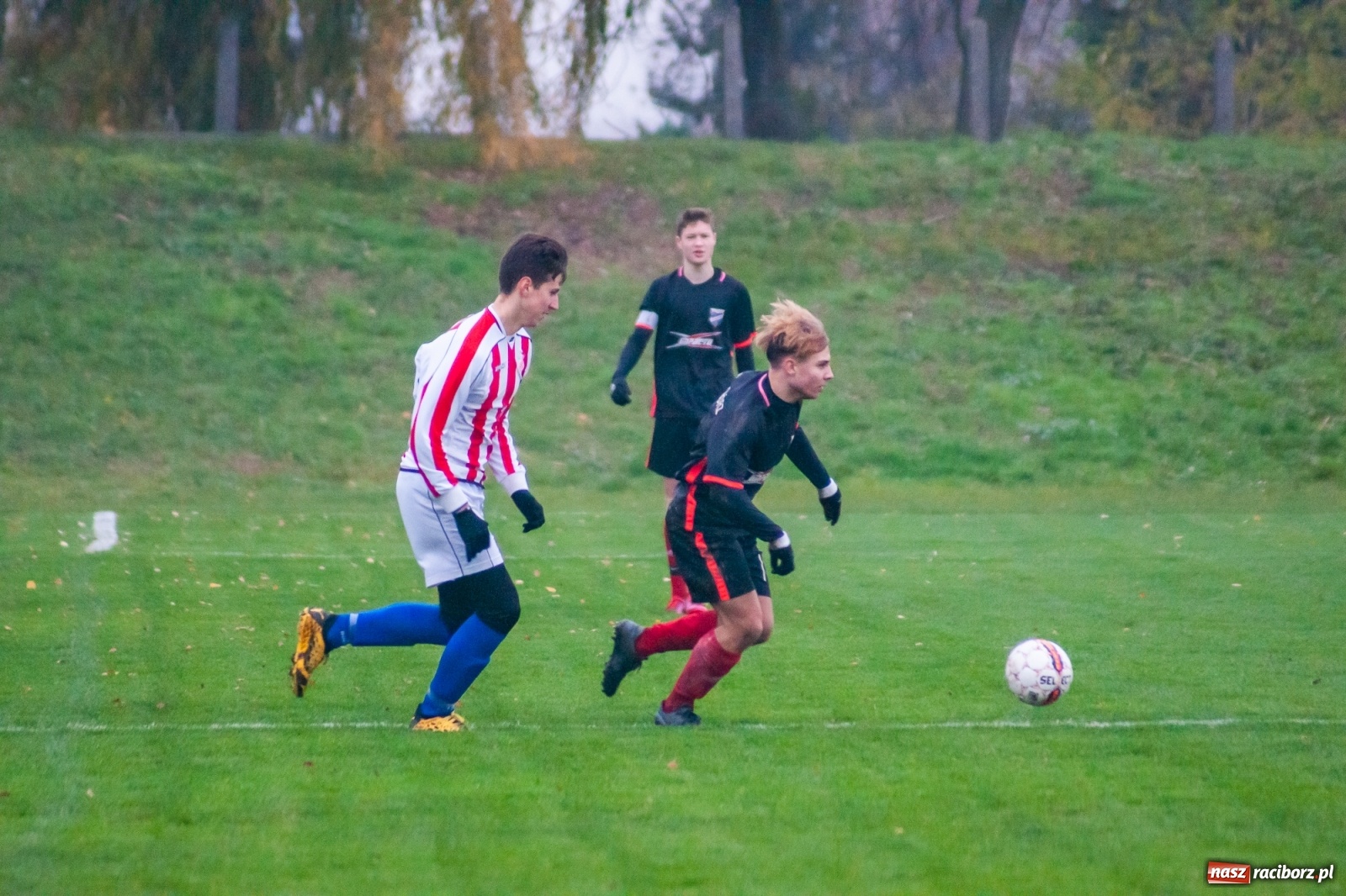 Zdjęcie w galerii na portalu naszraciborz.pl: Juniorzy starsi. Nieudana pogoń Gołkowic [FOTO i WIDEO] wiadomości z regionu