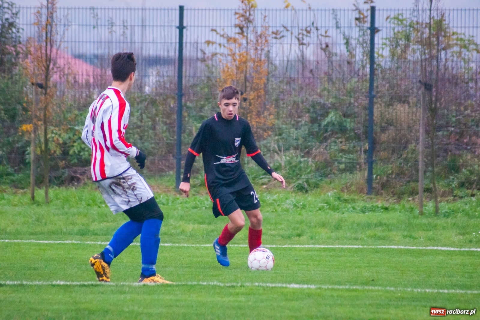 Zdjęcie w galerii na portalu naszraciborz.pl: Juniorzy starsi. Nieudana pogoń Gołkowic [FOTO i WIDEO] wiadomości z regionu