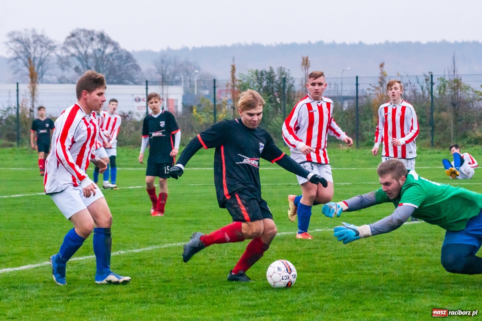 Zdjęcie w galerii na portalu naszraciborz.pl: Juniorzy starsi. Nieudana pogoń Gołkowic [FOTO i WIDEO] wiadomości z regionu