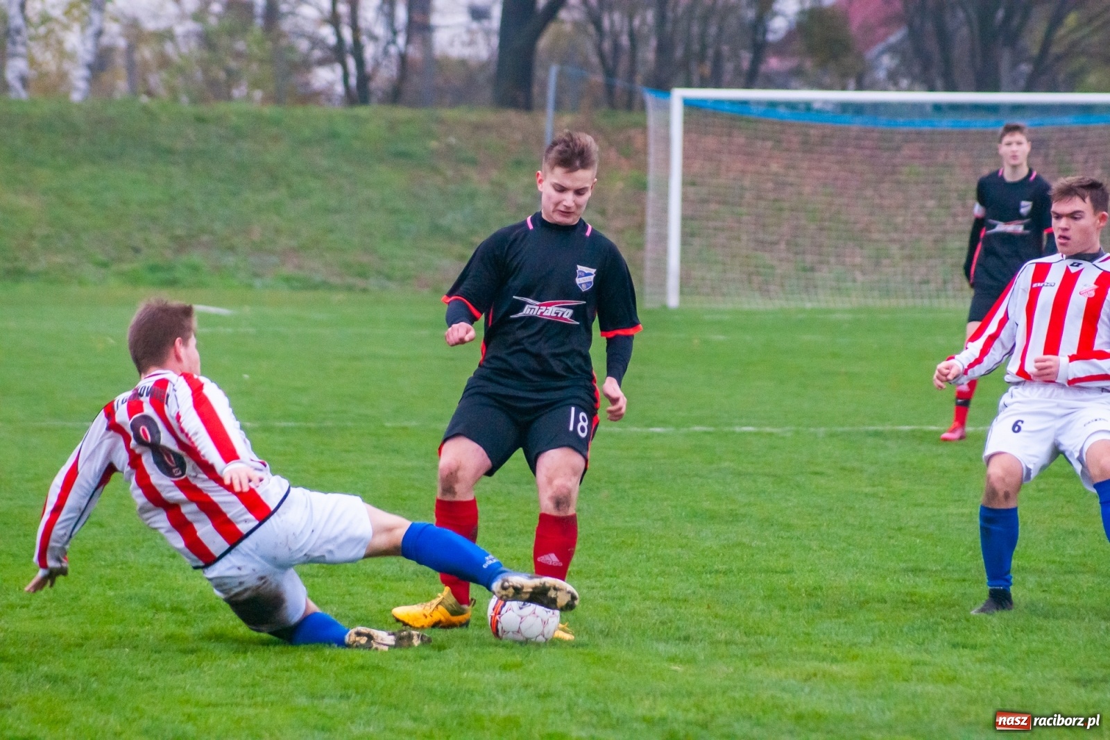 Zdjęcie w galerii na portalu naszraciborz.pl: Juniorzy starsi. Nieudana pogoń Gołkowic [FOTO i WIDEO] wiadomości z regionu