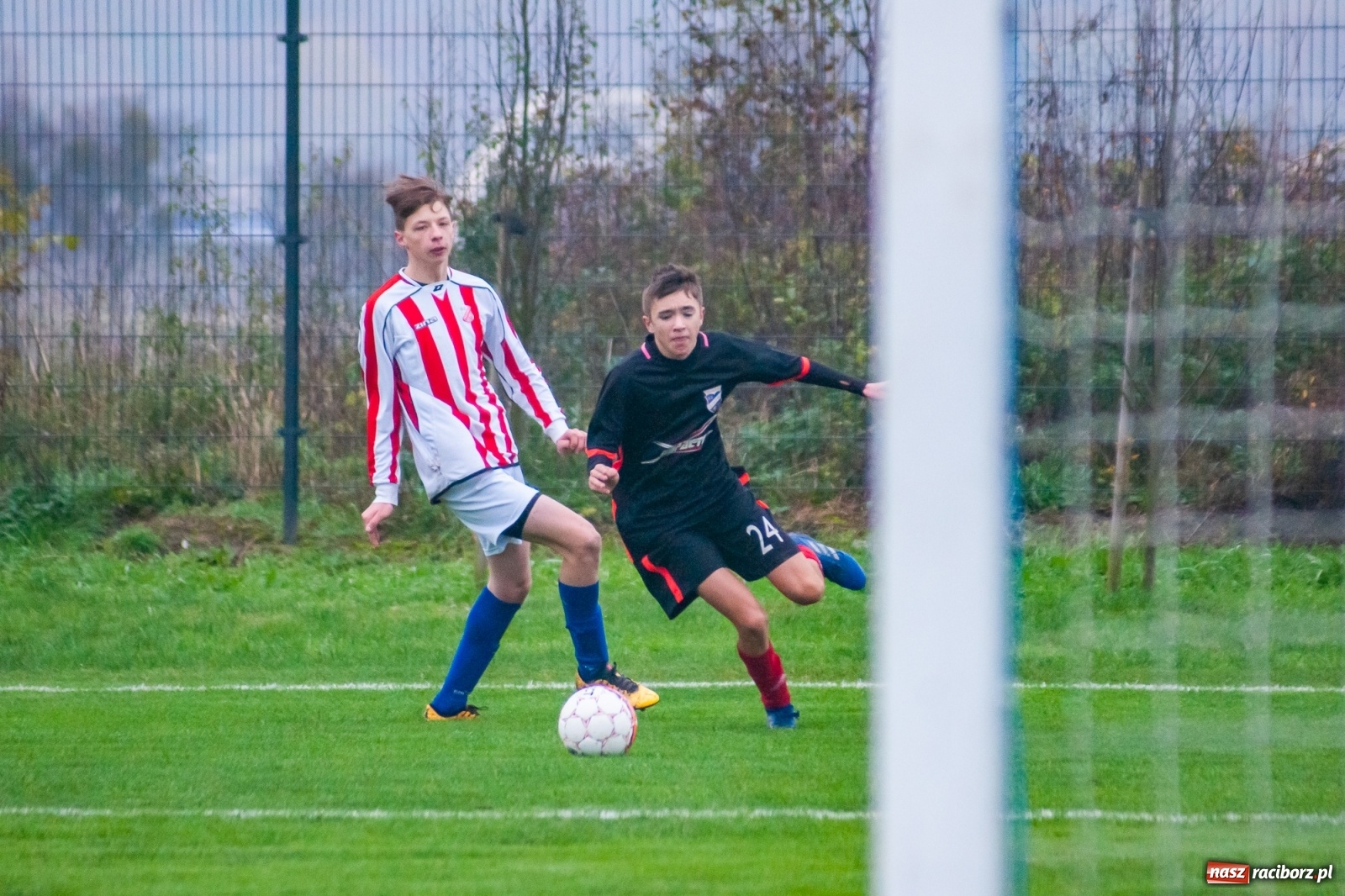 Zdjęcie w galerii na portalu naszraciborz.pl: Juniorzy starsi. Nieudana pogoń Gołkowic [FOTO i WIDEO] wiadomości z regionu