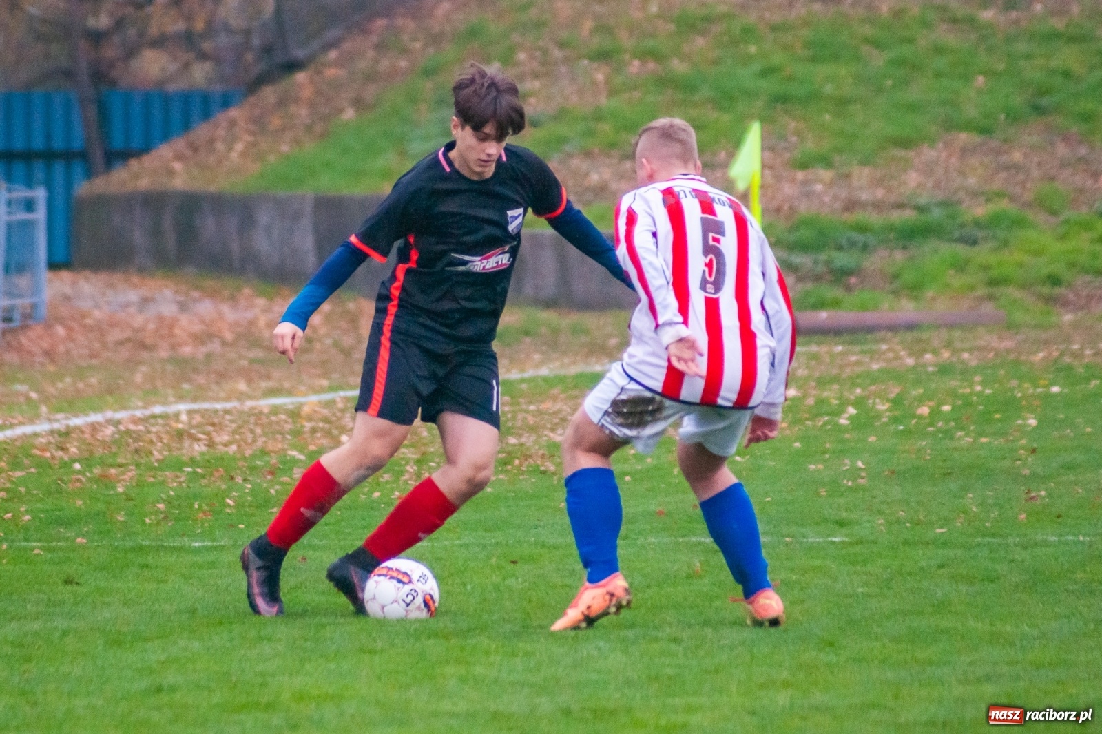 Zdjęcie w galerii na portalu naszraciborz.pl: Juniorzy starsi. Nieudana pogoń Gołkowic [FOTO i WIDEO] wiadomości z regionu
