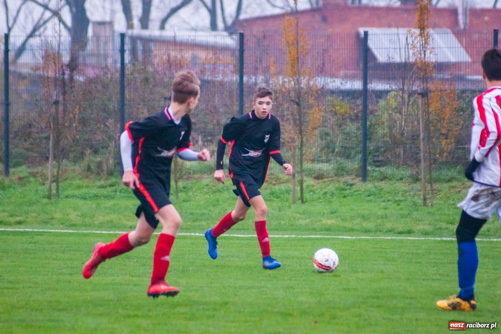 Zdjęcie w galerii na portalu naszraciborz.pl: Juniorzy starsi. Nieudana pogoń Gołkowic [FOTO i WIDEO] wiadomości z regionu