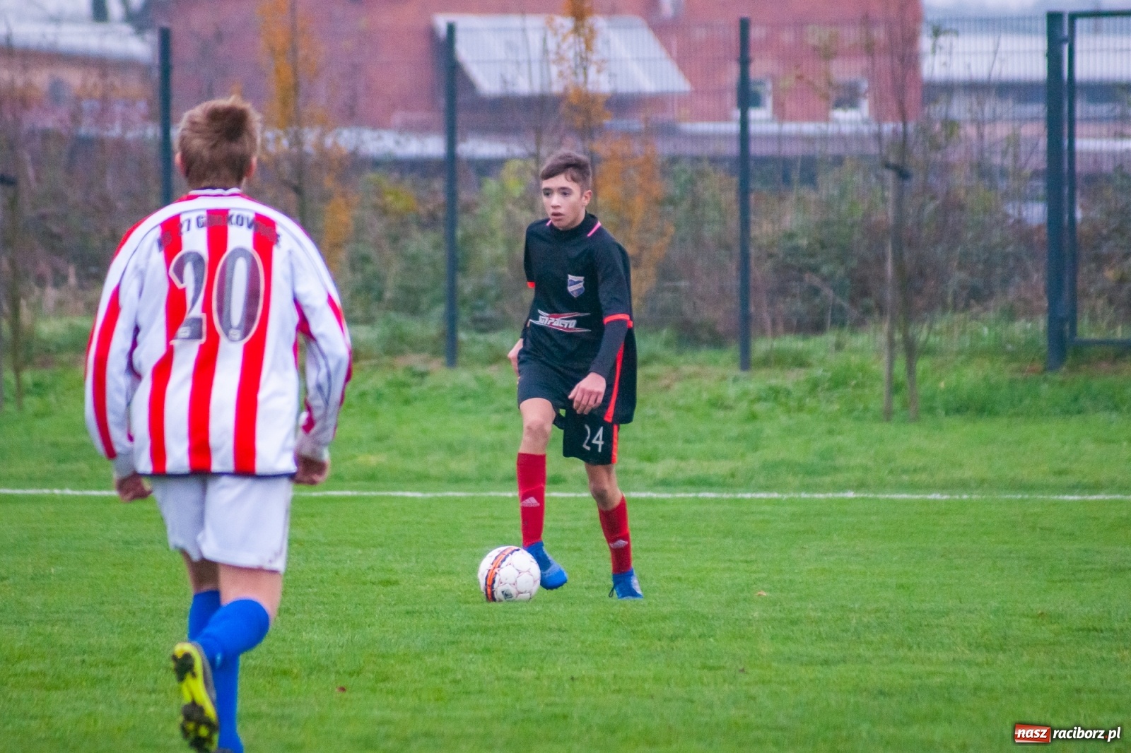 Zdjęcie w galerii na portalu naszraciborz.pl: Juniorzy starsi. Nieudana pogoń Gołkowic [FOTO i WIDEO] wiadomości z regionu