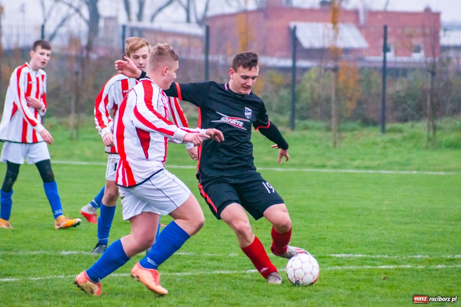 Zdjęcie w galerii na portalu naszraciborz.pl: Juniorzy starsi. Nieudana pogoń Gołkowic [FOTO i WIDEO] wiadomości z regionu
