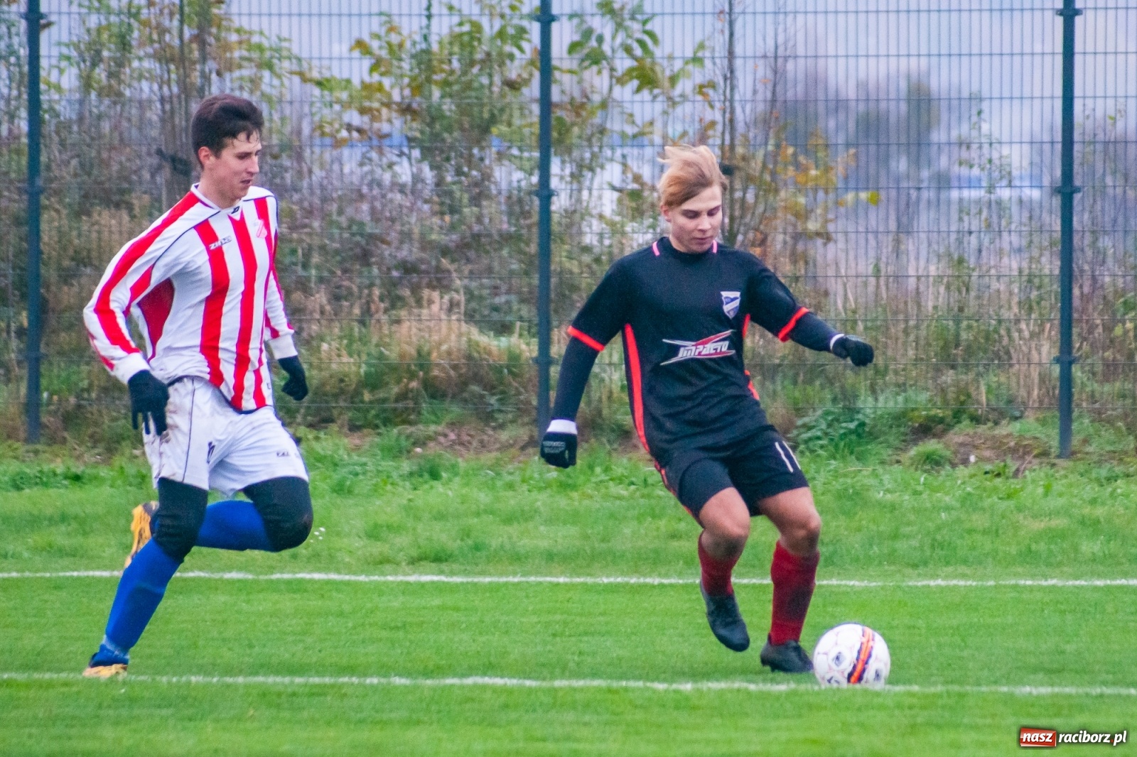 Zdjęcie w galerii na portalu naszraciborz.pl: Juniorzy starsi. Nieudana pogoń Gołkowic [FOTO i WIDEO] wiadomości z regionu