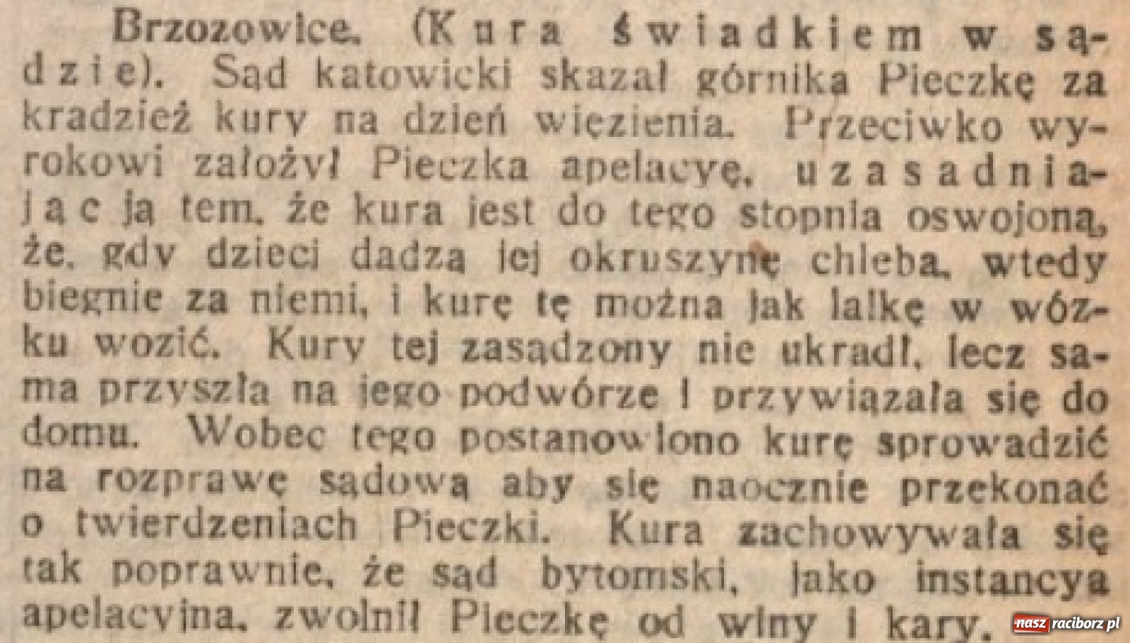 Zdjęcie w galerii na portalu naszraciborz.pl: Powstało archiwum śląskich wycinków prasowych on-line wiadomości z regionu