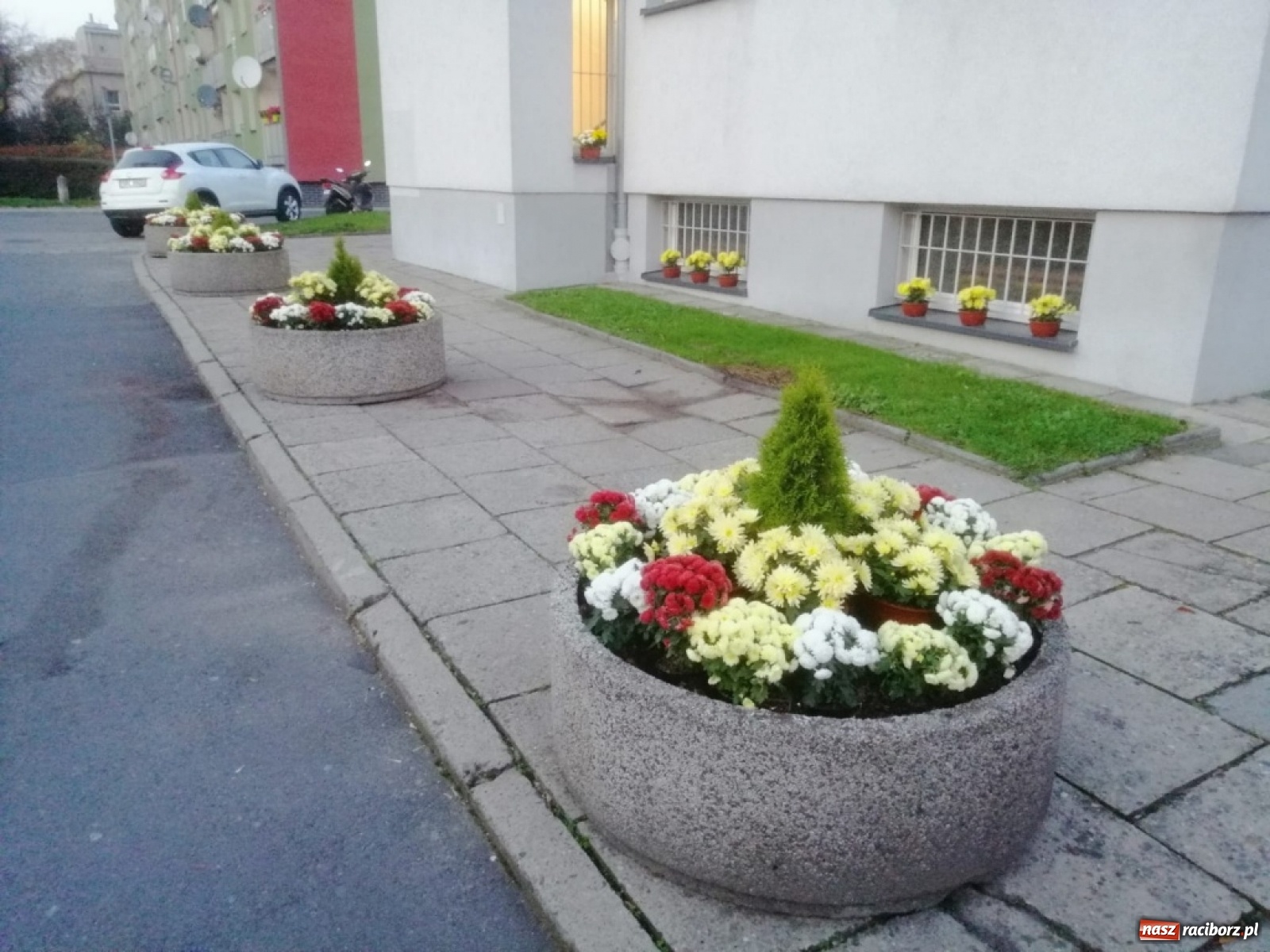 Zdjęcie w galerii na portalu naszraciborz.pl: Prosto z powiatu. Inwestycje, konsultacje i chryzantemy  wiadomości z regionu