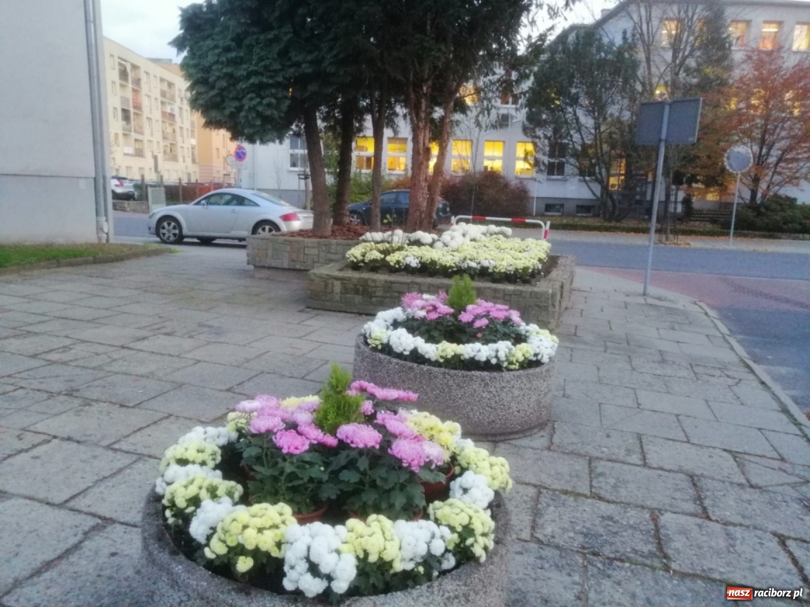 Zdjęcie w galerii na portalu naszraciborz.pl: Prosto z powiatu. Inwestycje, konsultacje i chryzantemy  wiadomości z regionu