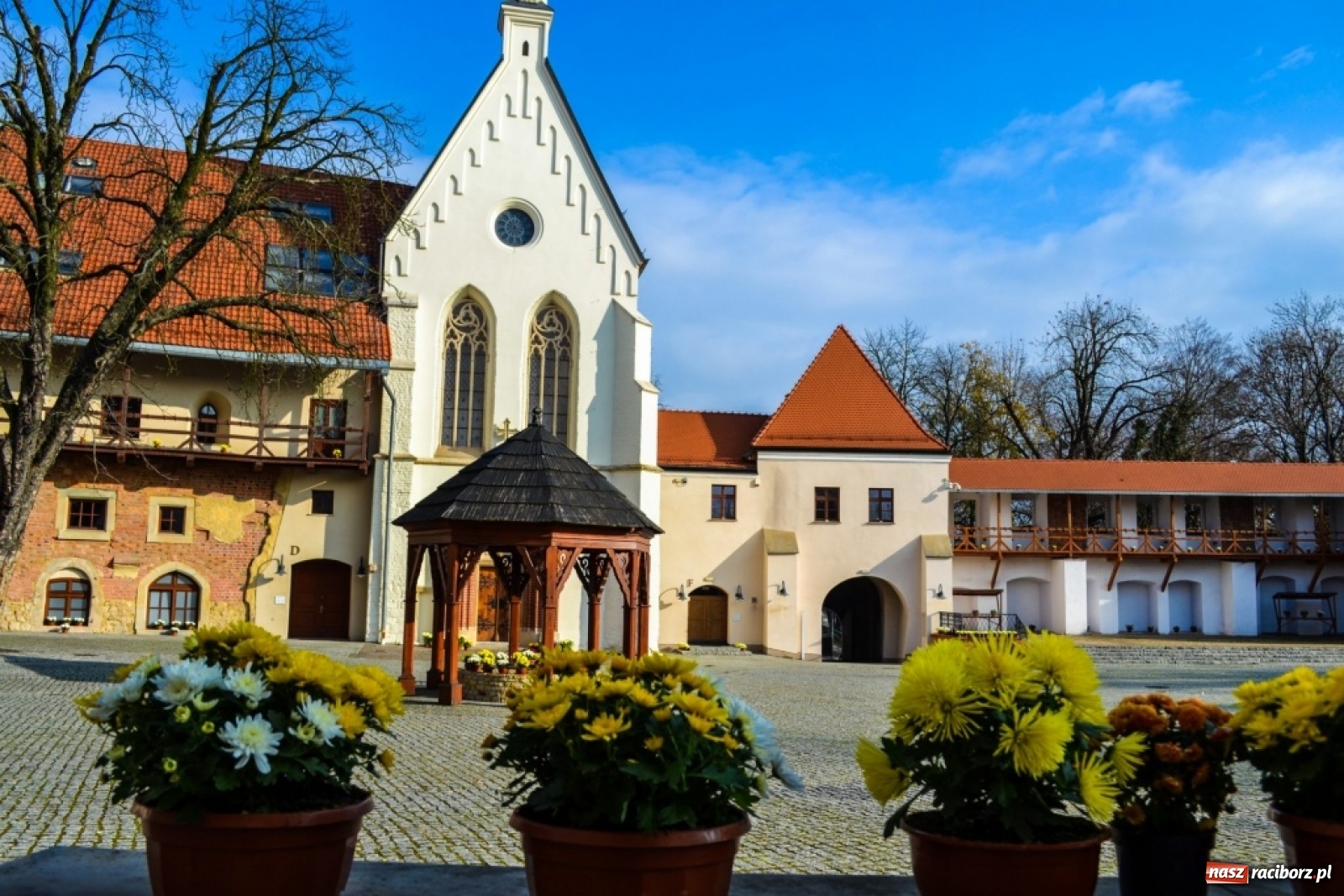 Zdjęcie w galerii na portalu naszraciborz.pl: Prosto z powiatu. Inwestycje, konsultacje i chryzantemy  wiadomości z regionu