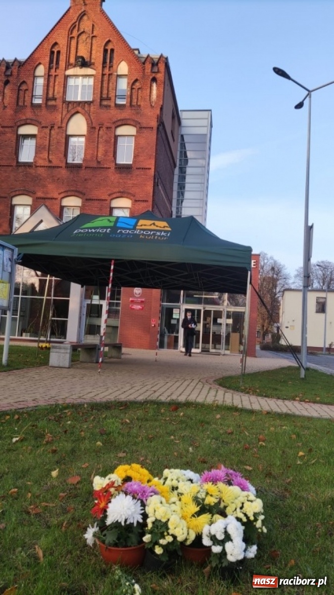 Zdjęcie w galerii na portalu naszraciborz.pl: Prosto z powiatu. Inwestycje, konsultacje i chryzantemy  wiadomości z regionu