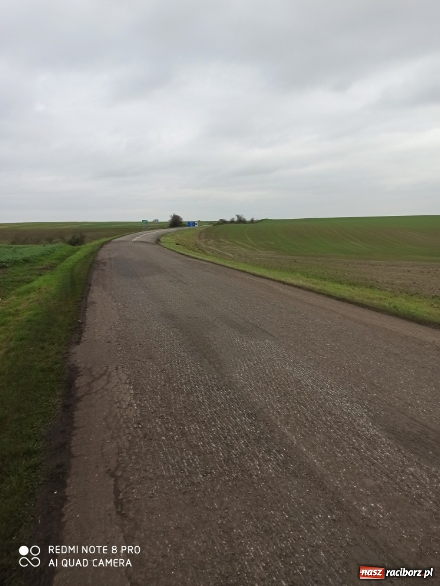 Zdjęcie w galerii na portalu naszraciborz.pl: Prosto z powiatu. Inwestycje, konsultacje i chryzantemy  wiadomości z regionu