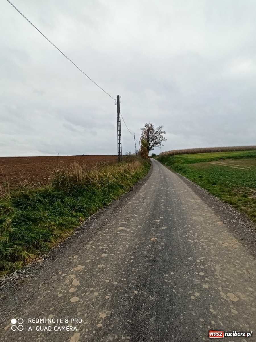 Zdjęcie w galerii na portalu naszraciborz.pl: Prosto z powiatu. Inwestycje, konsultacje i chryzantemy  wiadomości z regionu