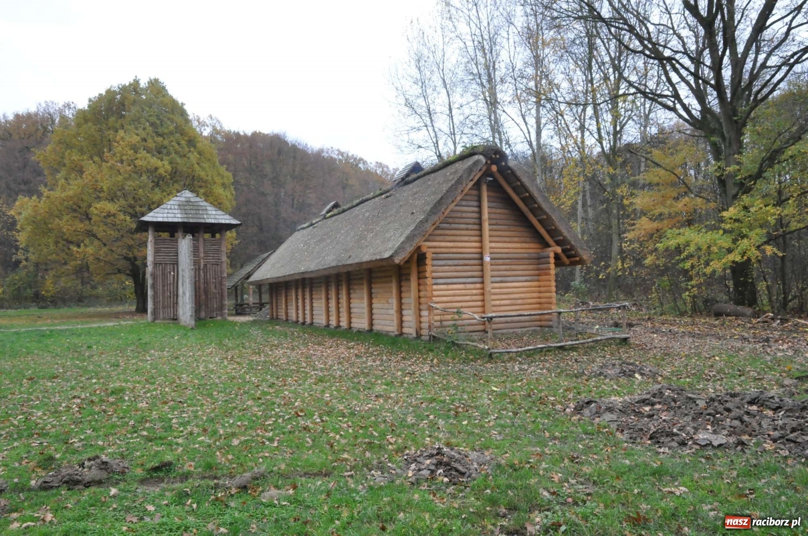 Zdjęcie w galerii na portalu naszraciborz.pl: Ambitne plany raciborskich Drengów [WIDEO] wiadomości z regionu