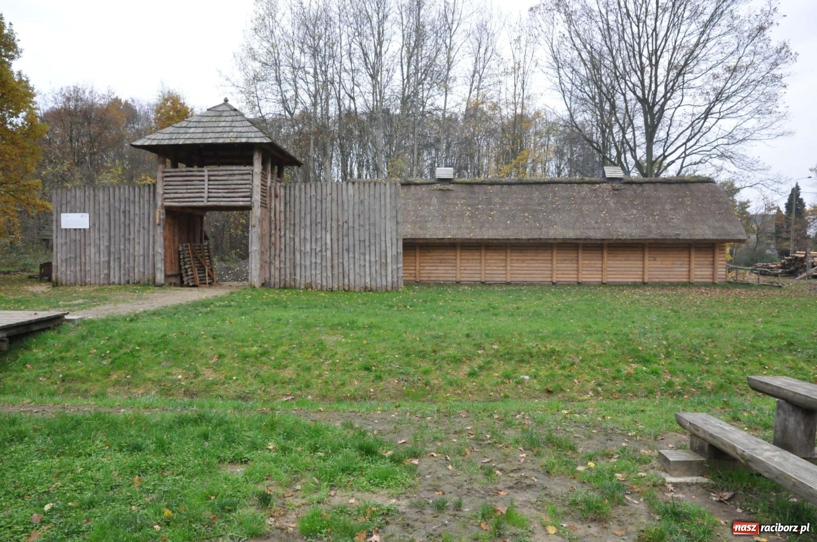Zdjęcie w galerii na portalu naszraciborz.pl: Ambitne plany raciborskich Drengów [WIDEO] wiadomości z regionu