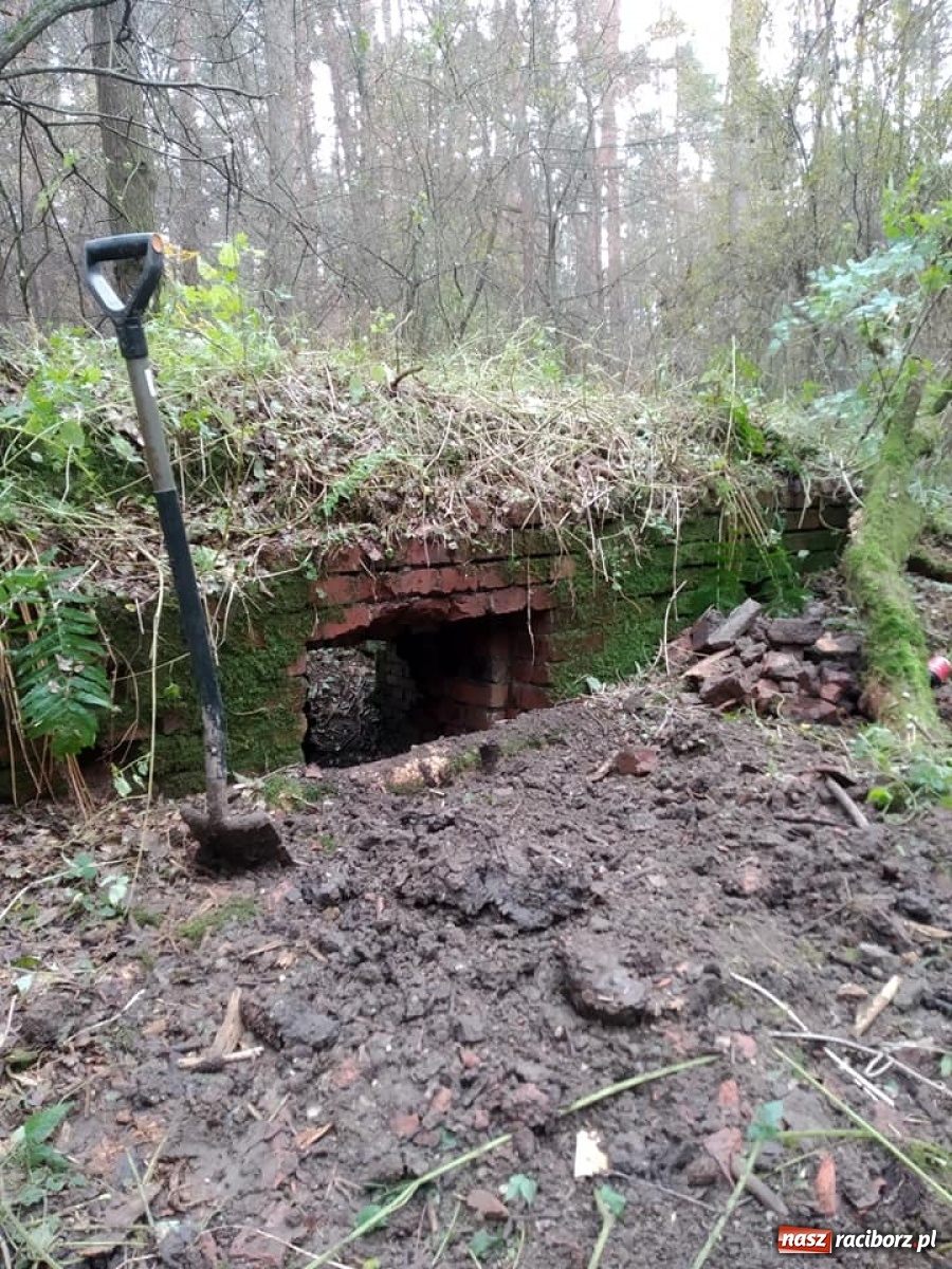 Zdjęcie w galerii na portalu naszraciborz.pl: Arboretum szykuje nową atrakcję dla zwiedzających wiadomości z regionu