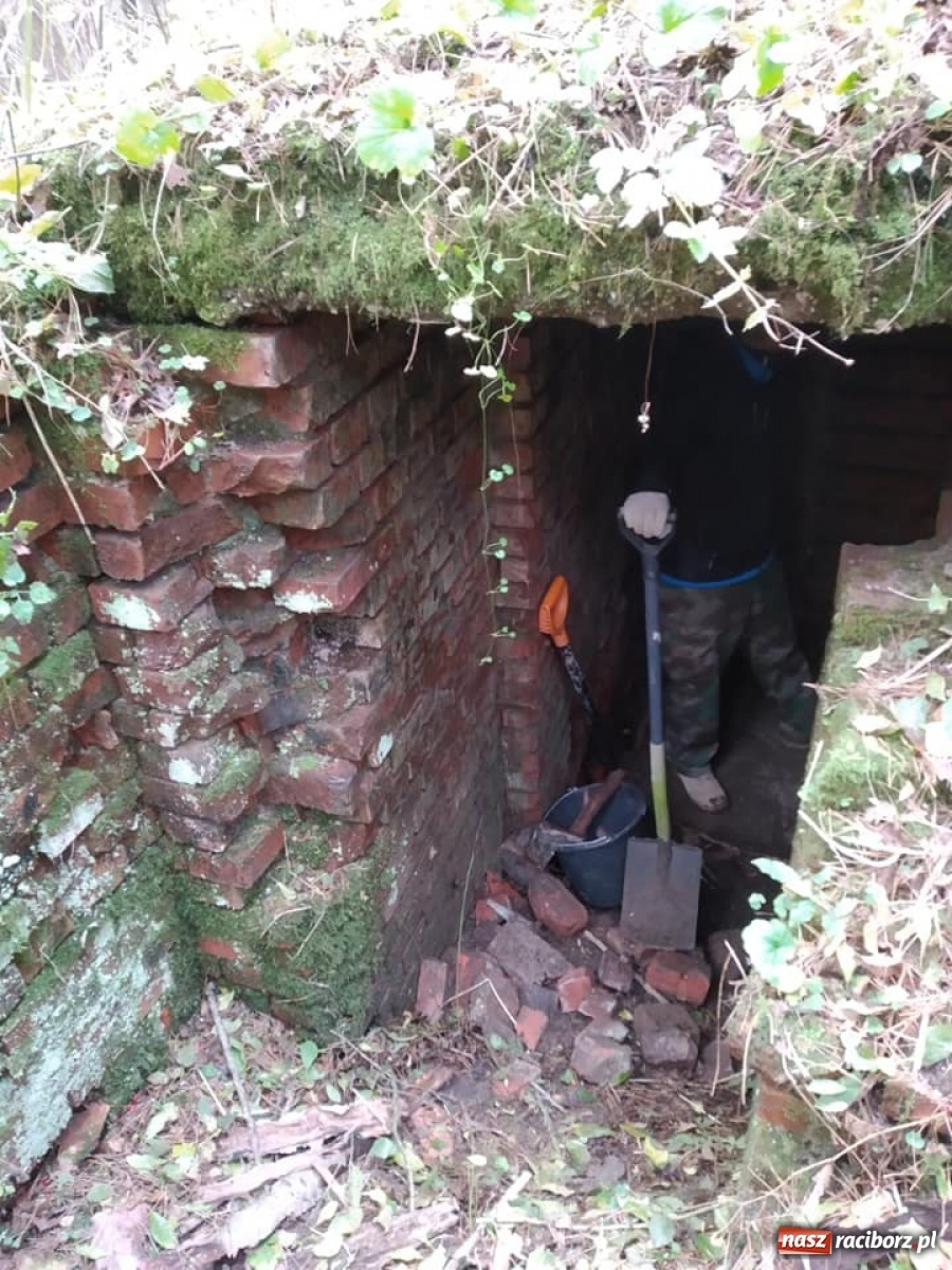 Zdjęcie w galerii na portalu naszraciborz.pl: Arboretum szykuje nową atrakcję dla zwiedzających wiadomości z regionu