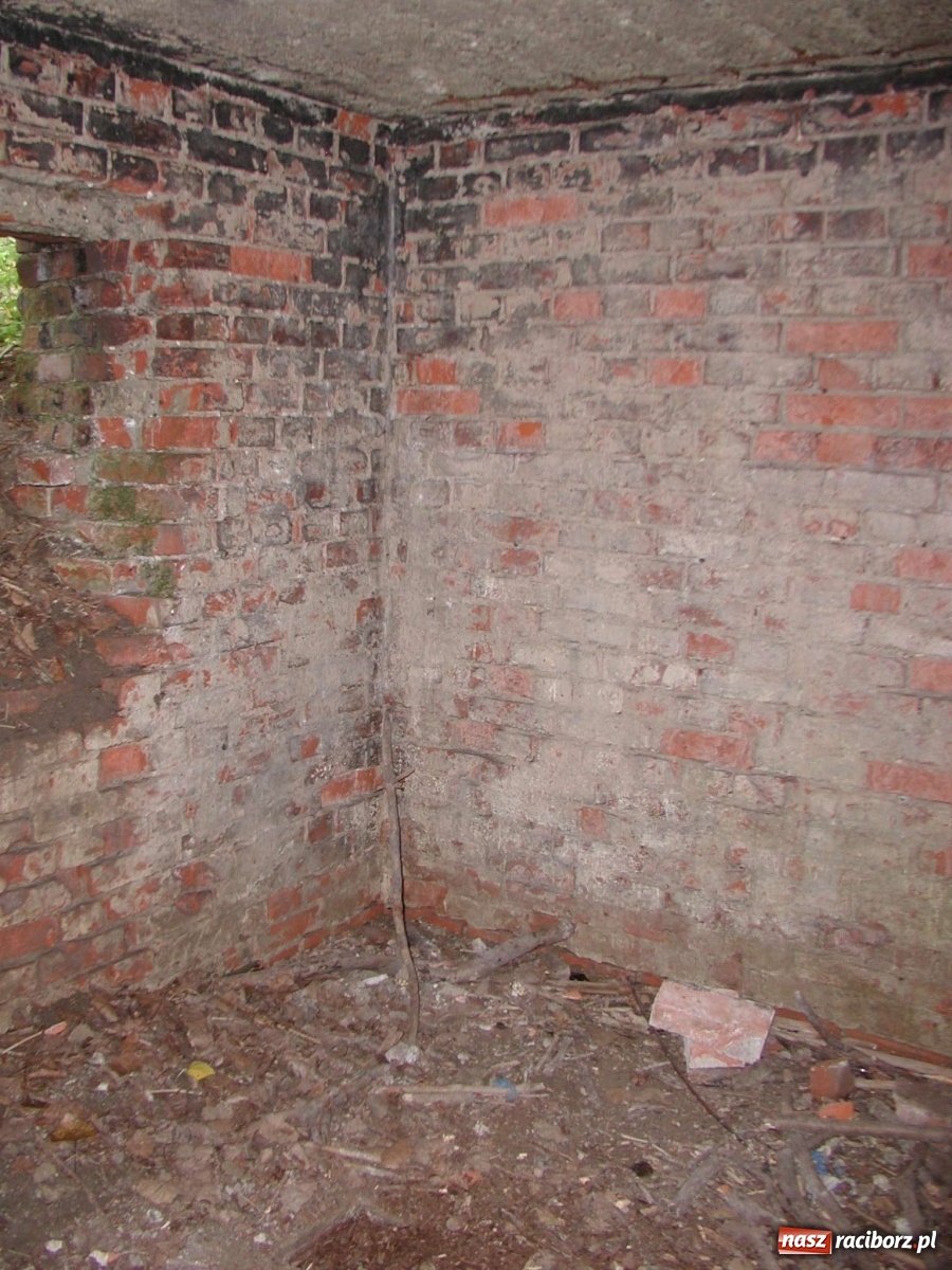 Zdjęcie w galerii na portalu naszraciborz.pl: Arboretum szykuje nową atrakcję dla zwiedzających wiadomości z regionu