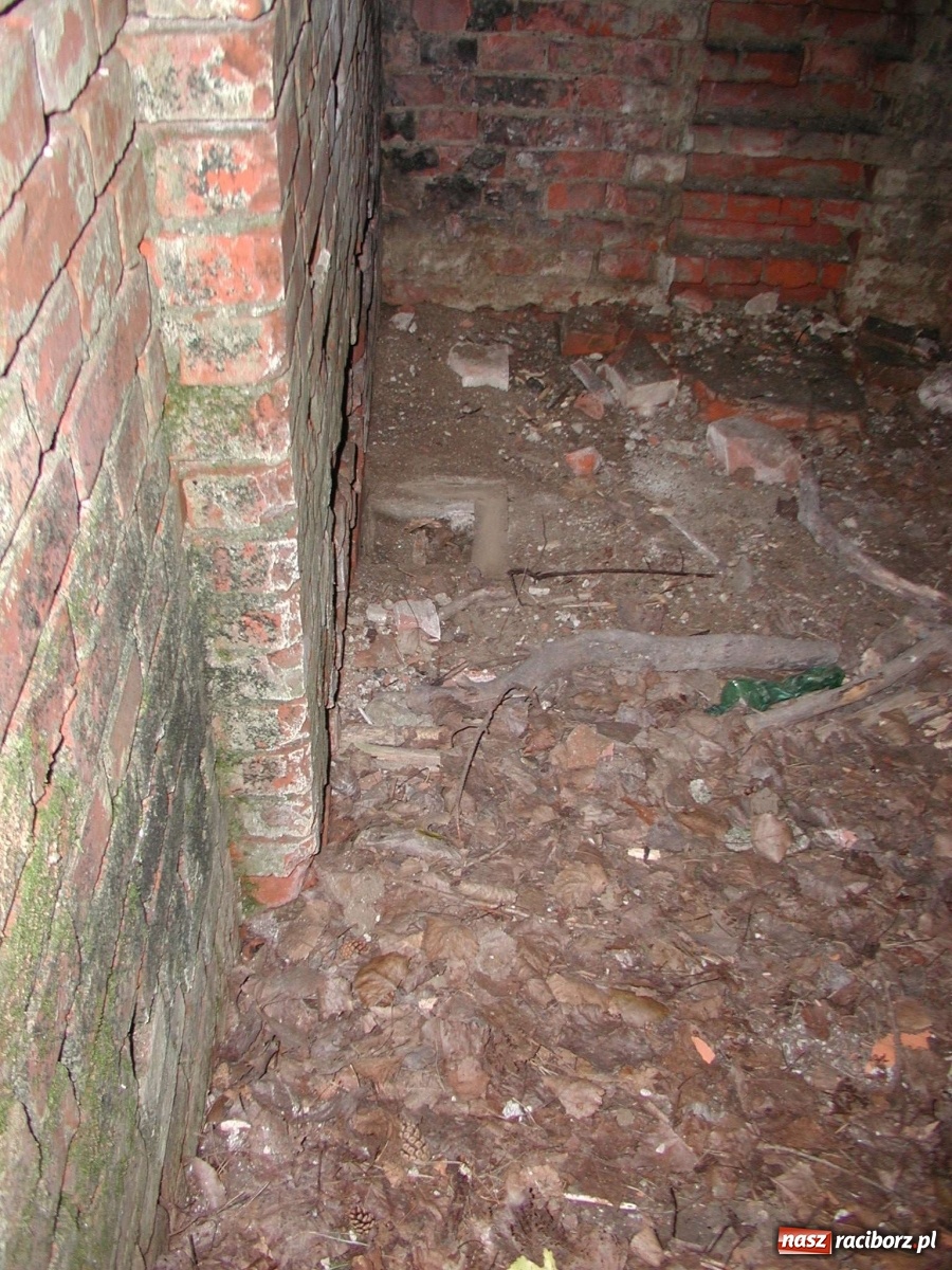 Zdjęcie w galerii na portalu naszraciborz.pl: Arboretum szykuje nową atrakcję dla zwiedzających wiadomości z regionu